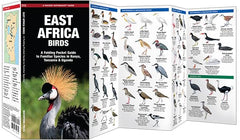 East Africa Birds: A Folding Pocket Guide to Familiar Species in Kenya, Tanzania &amp; Uganda (Wildlife and Nature Identification)