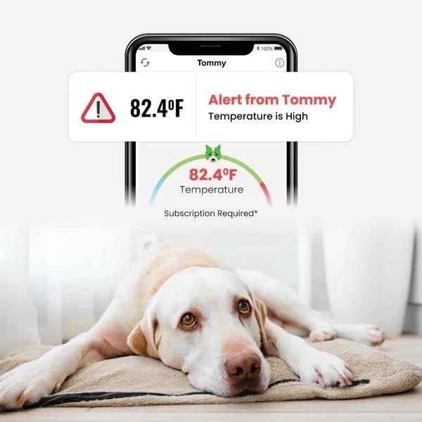 Waggle RV/Dog Safety Temperature & Humidity Sensor | Wireless Pet monitoring system Verizon Cellular Instant Alerts on Temp/Humidity/Power loss via SMS/Email 24/7 No WiFi Subscription Required