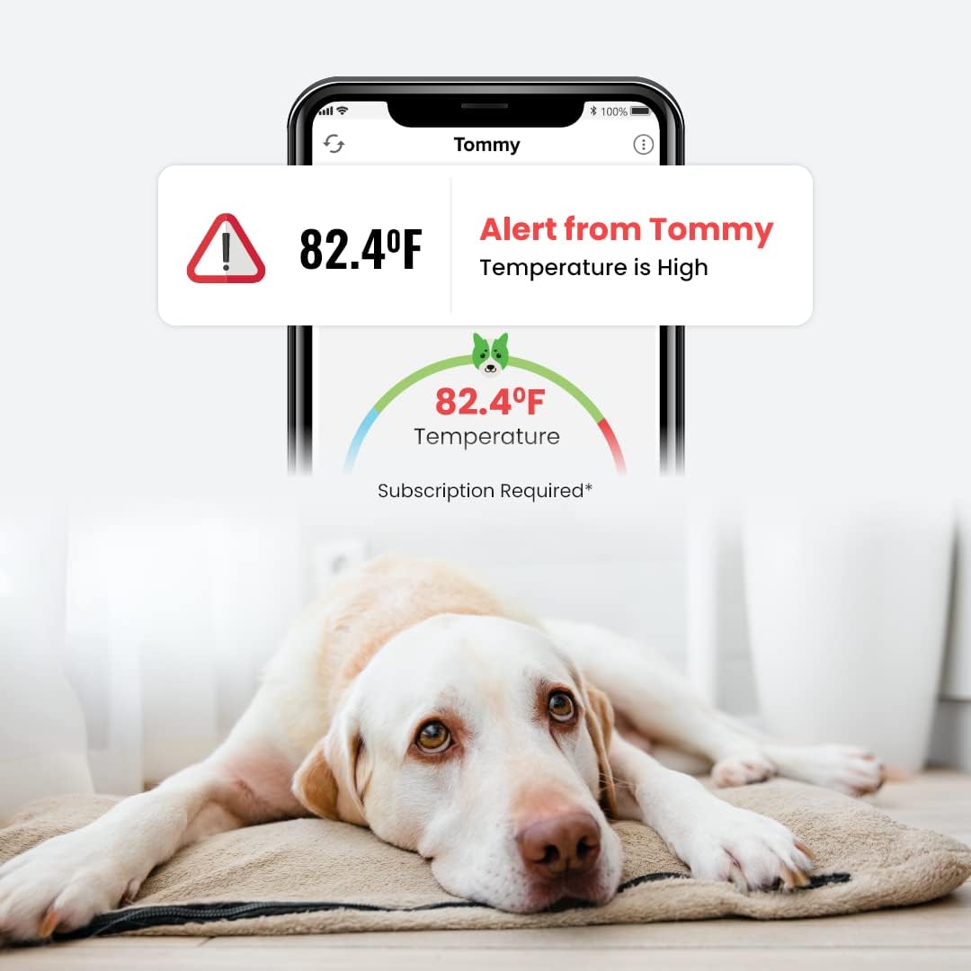 Waggle RV/Dog Safety Temperature & Humidity Sensor | Wireless Pet monitoring system Verizon Cellular Instant Alerts on Temp/Humidity/Power loss via SMS/Email 24/7 No WiFi Subscription Required