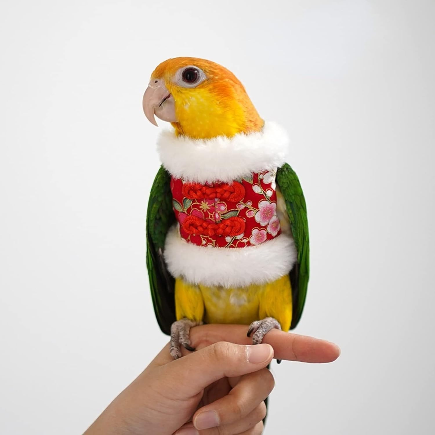 YANQIN Bird Costume Diaper Flight Suit Bee Shape Hoodie Clothes Cosplay Photo Prop for Parrots Parakeet Cockatiel Sun Conure, Small Animals Apparel (Bee with Diaper, Medium), Green (BPF1)