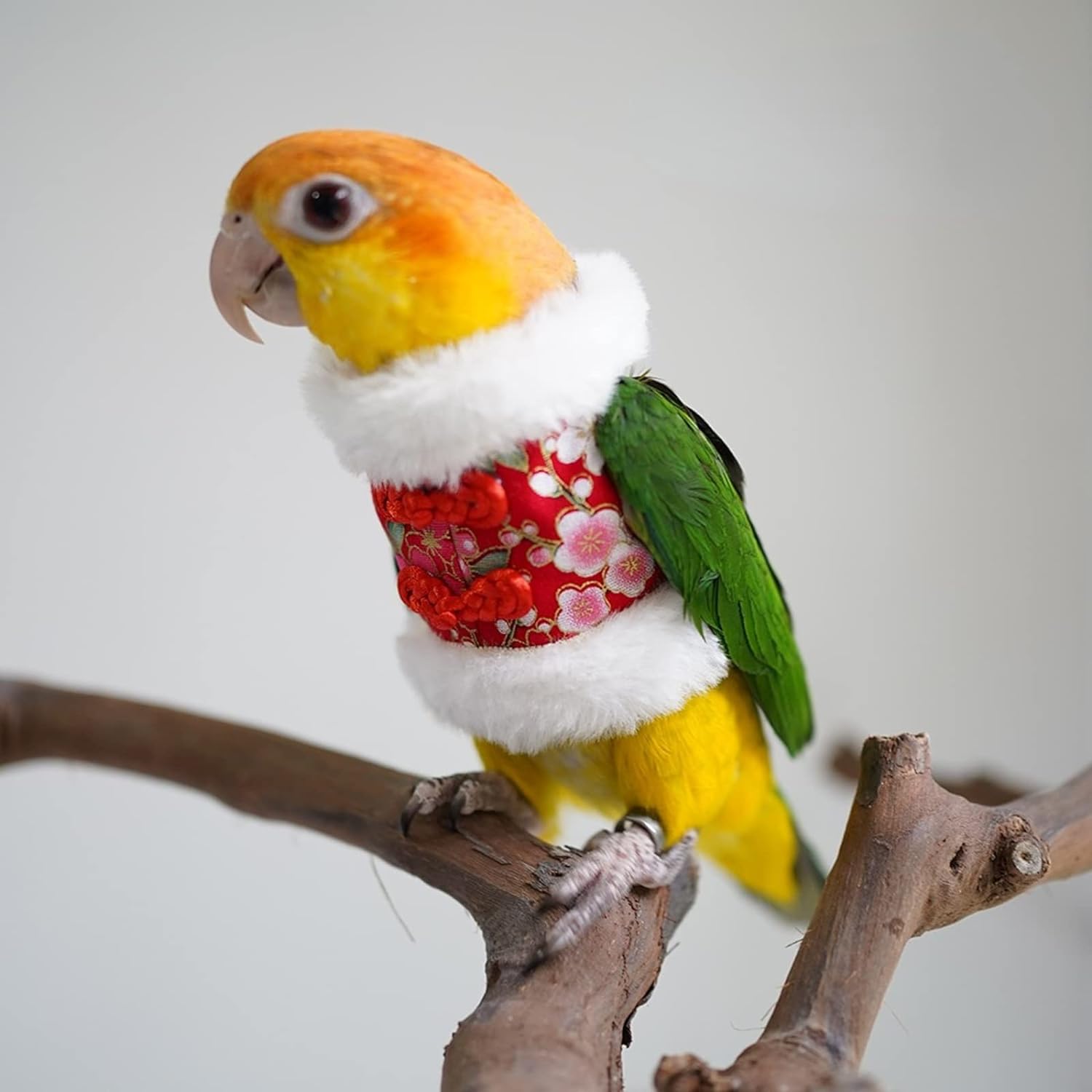 YANQIN Bird Costume Diaper Flight Suit Bee Shape Hoodie Clothes Cosplay Photo Prop for Parrots Parakeet Cockatiel Sun Conure, Small Animals Apparel (Bee with Diaper, Medium), Green (BPF1)