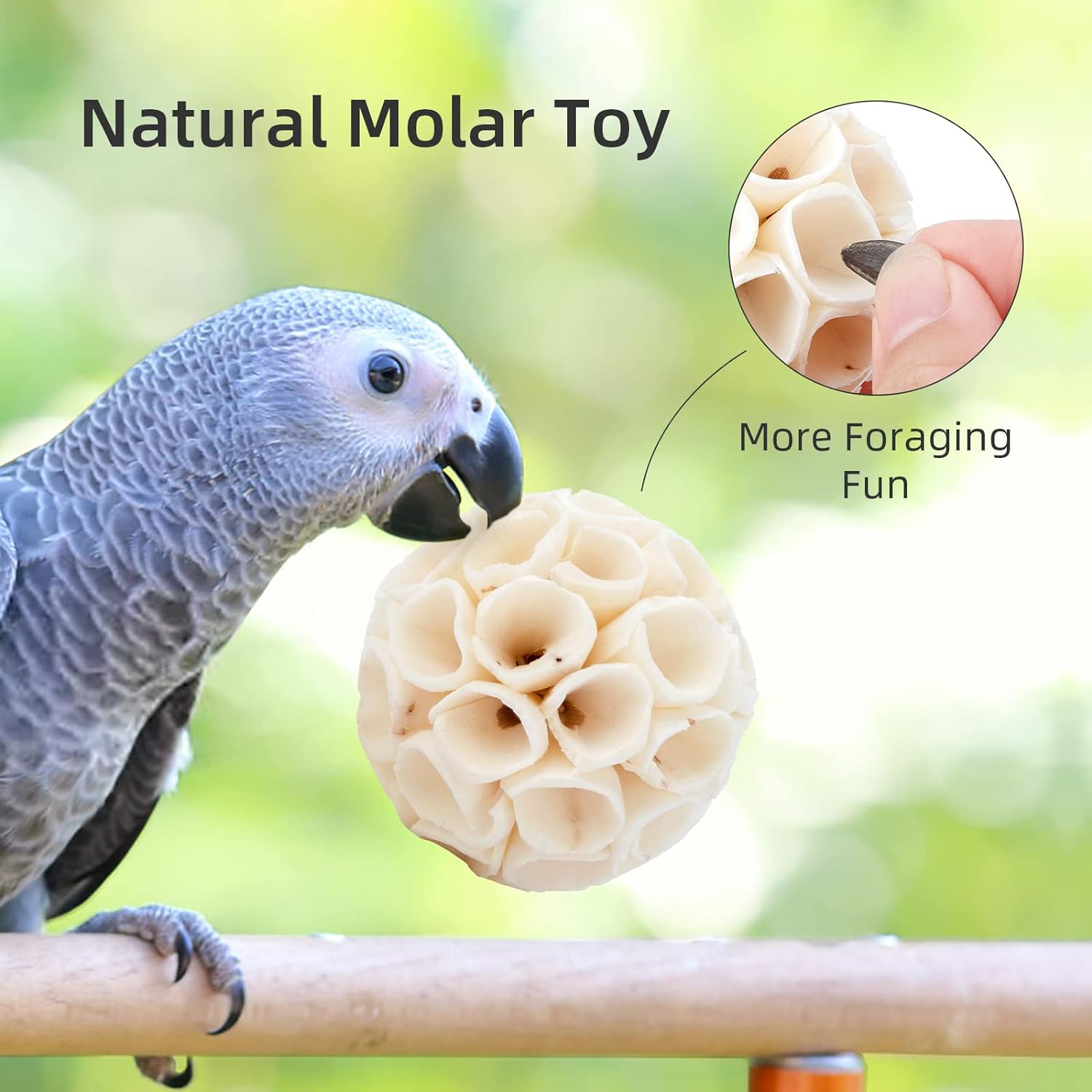 andwe Bird Toy Sola Balls – Juguete natural suave para masticar trituración y forraje para cacatúa, conure, cuáquero, loro, periquito, conejo, conejo, cobaya, chinchilla (estilo 2 (paquete de 6)) 