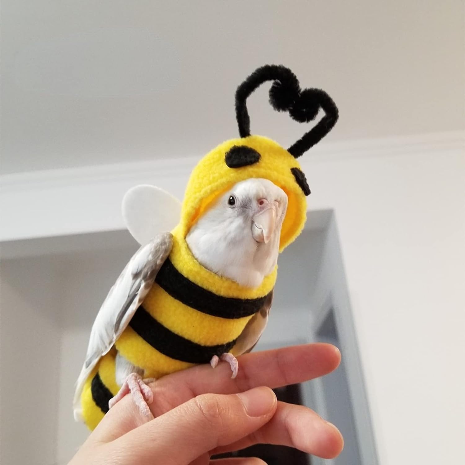 YANQIN Bird Costume Diaper Flight Suit Bee Shape Hoodie Clothes Cosplay Photo Prop for Parrots Parakeet Cockatiel Sun Conure, Small Animals Apparel (Bee with Diaper, Medium), Green (BPF1)