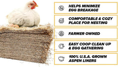 Eaton Pet and Pasture, Premium Laying Hen Nesting Pads, USA Grown & Sustainably Harvested, 13 x 13 (10 Pack)