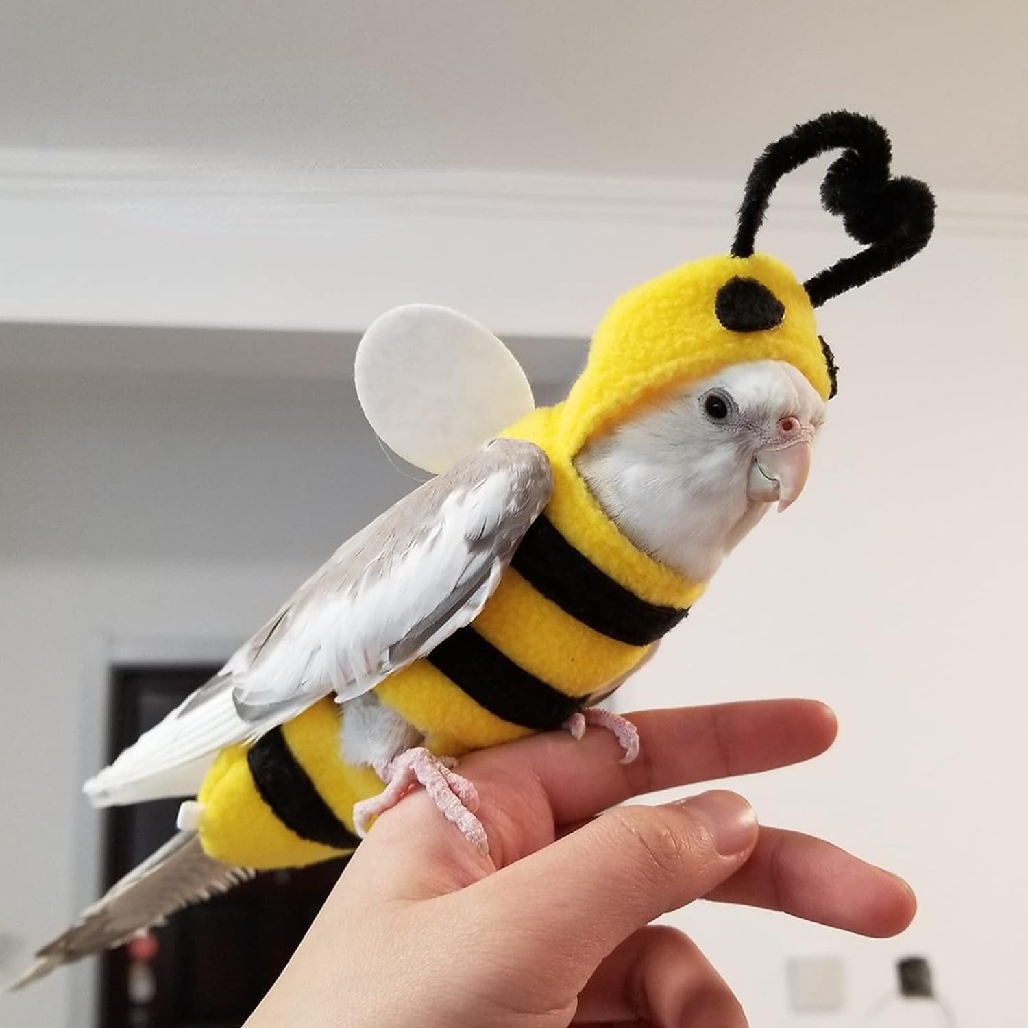 YANQIN Bird Costume Diaper Flight Suit Bee Shape Hoodie Clothes Cosplay Photo Prop for Parrots Parakeet Cockatiel Sun Conure, Small Animals Apparel (Bee with Diaper, Medium), Green (BPF1)