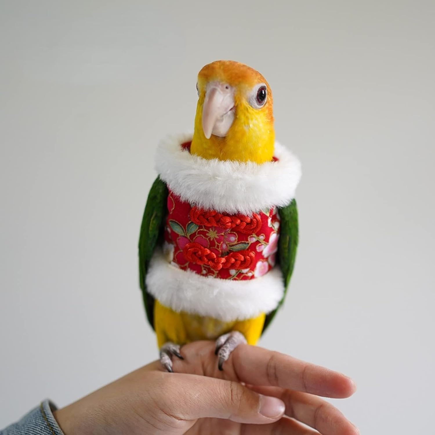 YANQIN Bird Costume Diaper Flight Suit Bee Shape Hoodie Clothes Cosplay Photo Prop for Parrots Parakeet Cockatiel Sun Conure, Small Animals Apparel (Bee with Diaper, Medium), Green (BPF1)