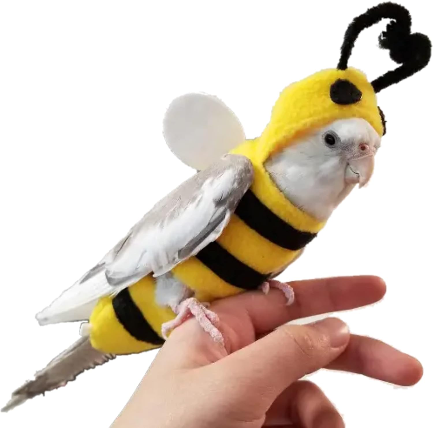 YANQIN Bird Costume Diaper Flight Suit Bee Shape Hoodie Clothes Cosplay Photo Prop for Parrots Parakeet Cockatiel Sun Conure, Small Animals Apparel (Bee with Diaper, Medium), Green (BPF1)