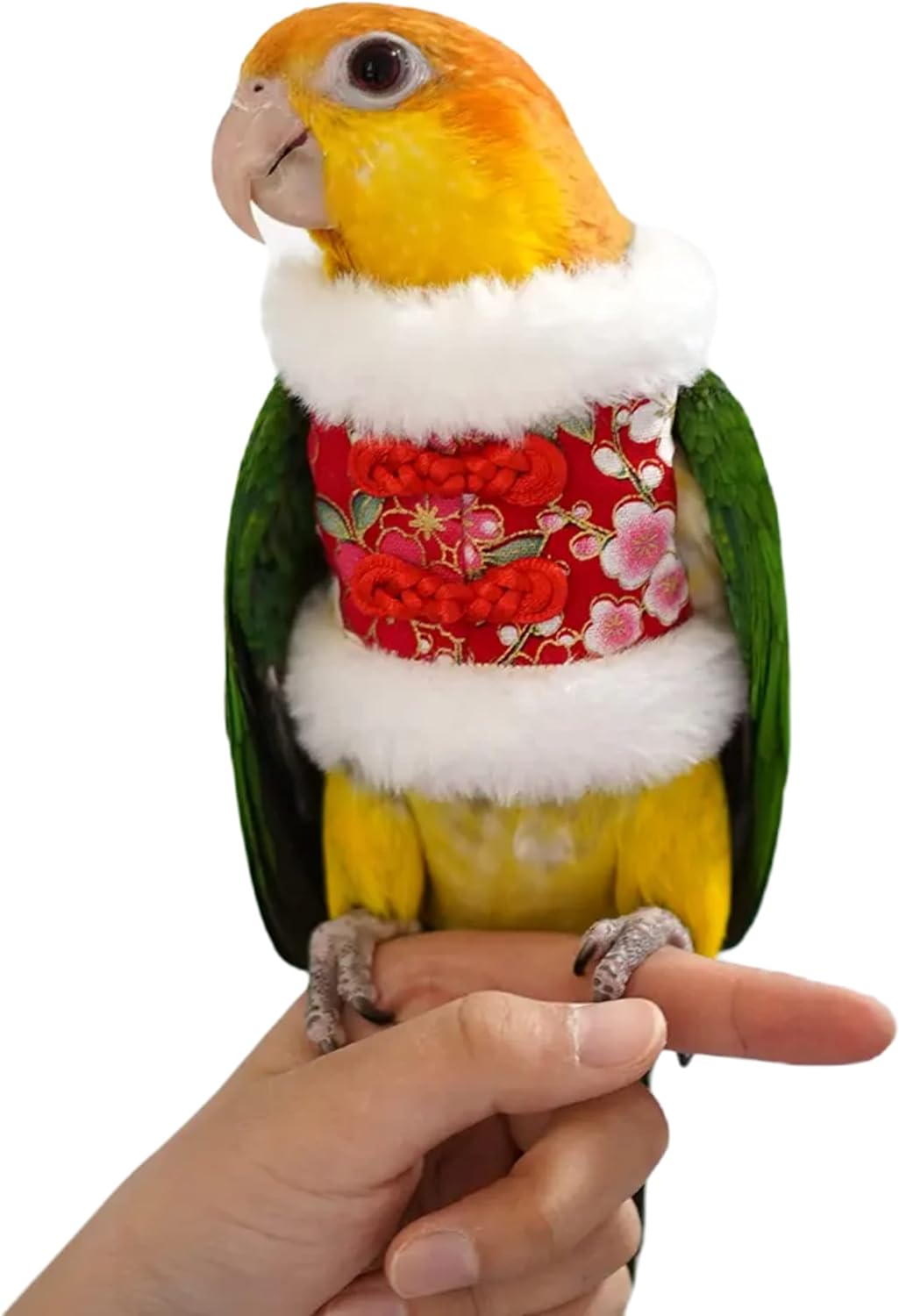 YANQIN Bird Costume Diaper Flight Suit Bee Shape Hoodie Clothes Cosplay Photo Prop for Parrots Parakeet Cockatiel Sun Conure, Small Animals Apparel (Bee with Diaper, Medium), Green (BPF1)