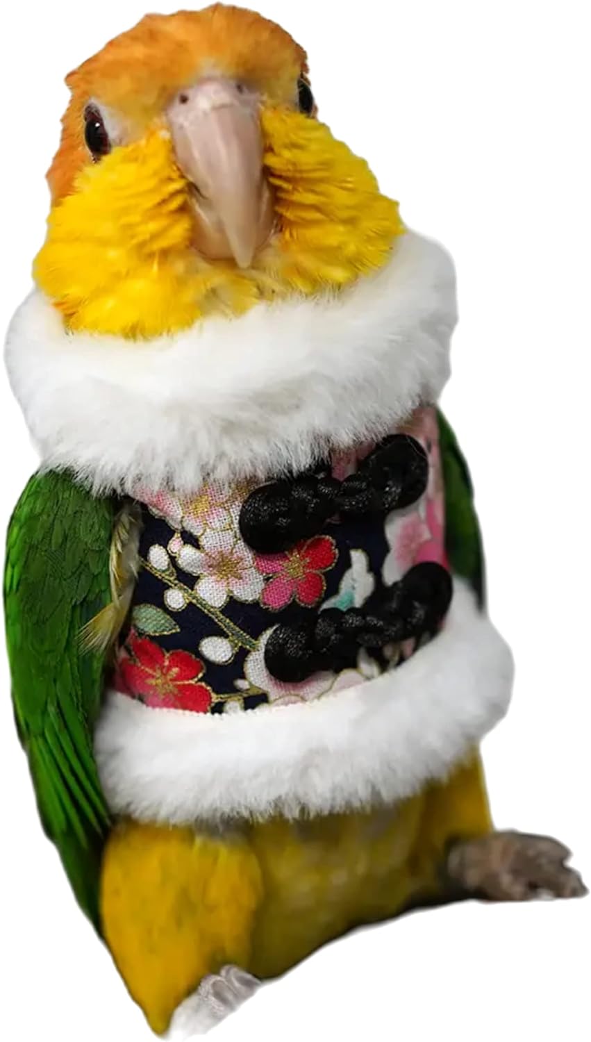 YANQIN Bird Costume Diaper Flight Suit Bee Shape Hoodie Clothes Cosplay Photo Prop for Parrots Parakeet Cockatiel Sun Conure, Small Animals Apparel (Bee with Diaper, Medium), Green (BPF1)