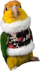 YANQIN Bird Costume Diaper Flight Suit Bee Shape Hoodie Clothes Cosplay Photo Prop for Parrots Parakeet Cockatiel Sun Conure, Small Animals Apparel (Bee with Diaper, Medium), Green (BPF1)