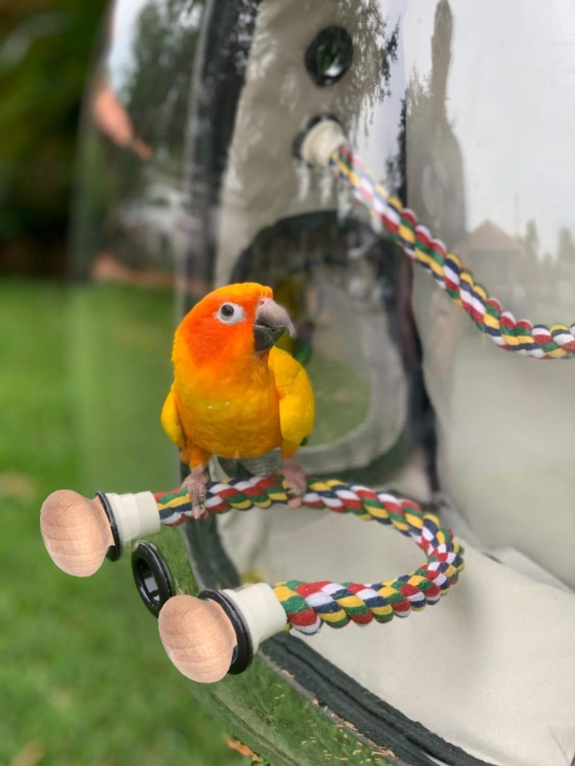 Bird Carrier Cage, Bird Travel Backpack with Stainless Steel Tray and Standing Perch