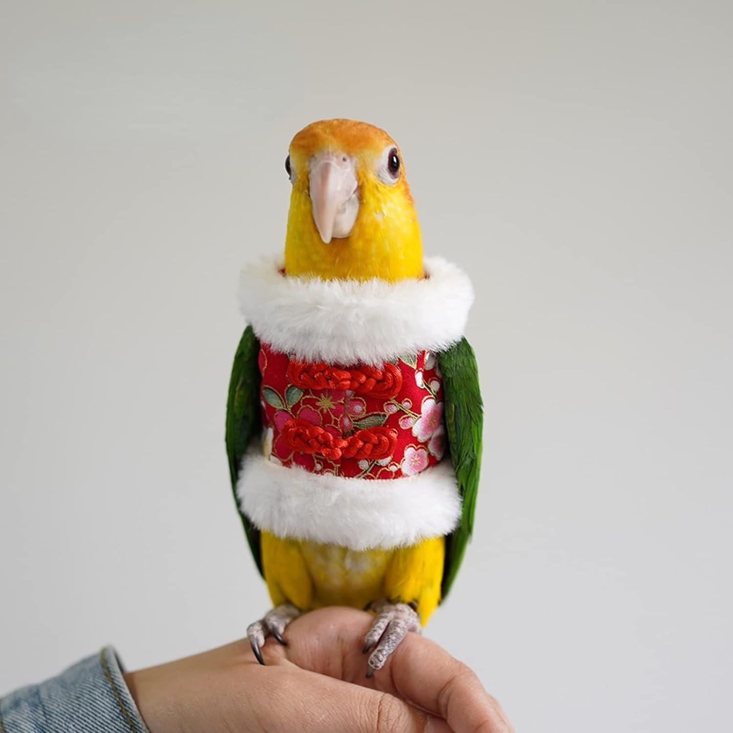 YANQIN Bird Costume Diaper Flight Suit Bee Shape Hoodie Clothes Cosplay Photo Prop for Parrots Parakeet Cockatiel Sun Conure, Small Animals Apparel (Bee with Diaper, Medium), Green (BPF1)