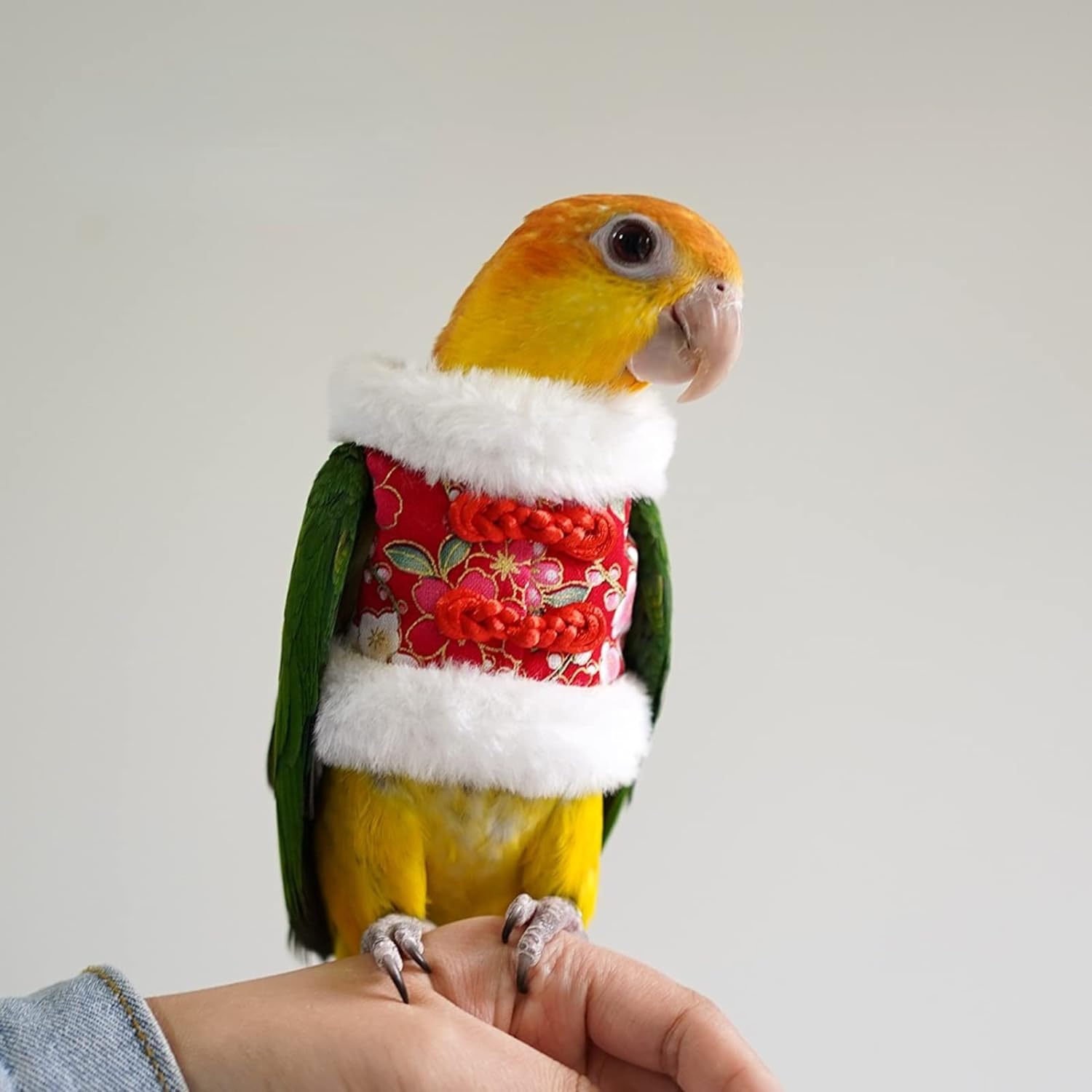 YANQIN Bird Costume Diaper Flight Suit Bee Shape Hoodie Clothes Cosplay Photo Prop for Parrots Parakeet Cockatiel Sun Conure, Small Animals Apparel (Bee with Diaper, Medium), Green (BPF1)