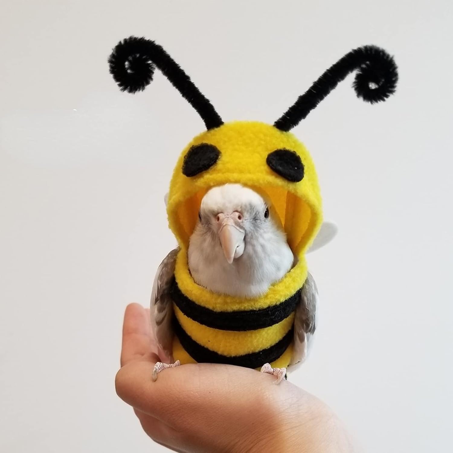 YANQIN Bird Costume Diaper Flight Suit Bee Shape Hoodie Clothes Cosplay Photo Prop for Parrots Parakeet Cockatiel Sun Conure, Small Animals Apparel (Bee with Diaper, Medium), Green (BPF1)