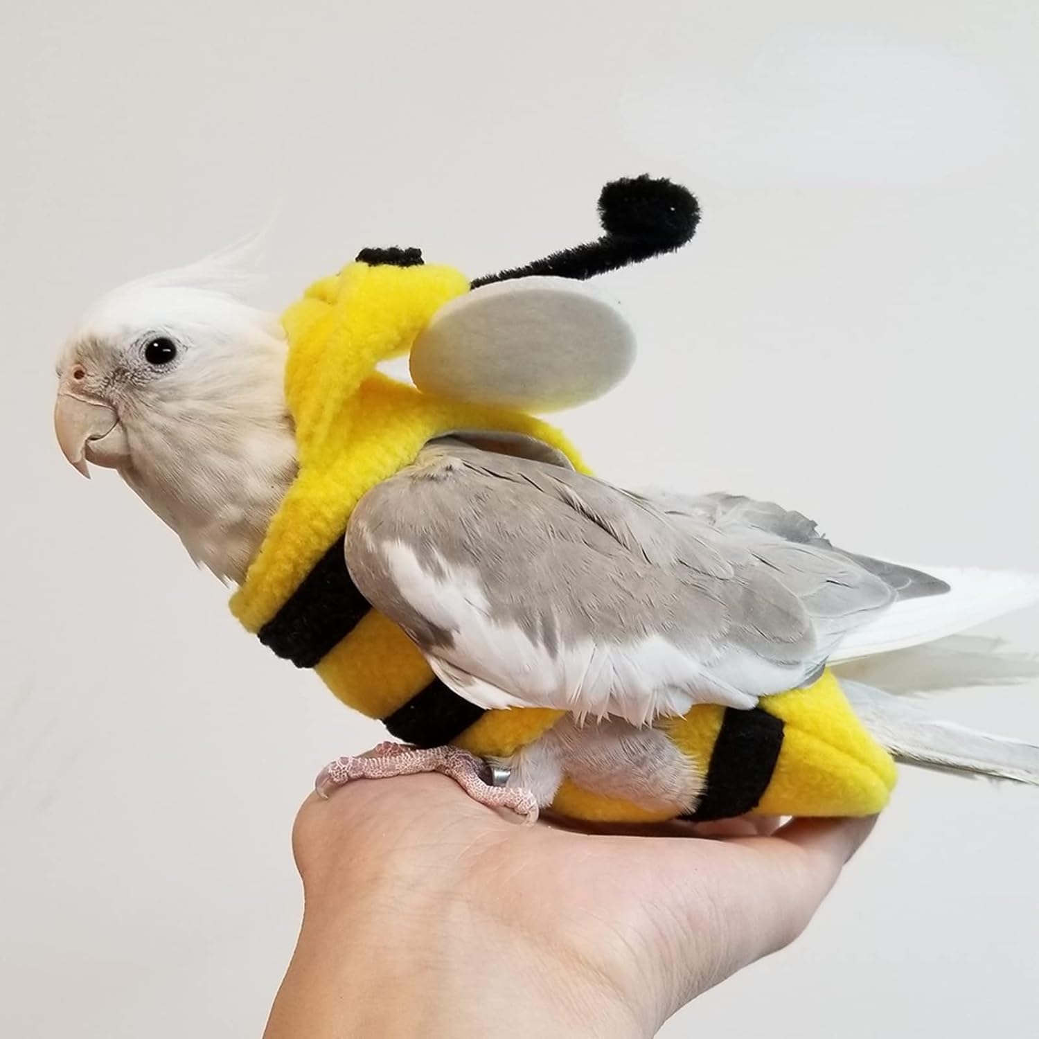 YANQIN Bird Costume Diaper Flight Suit Bee Shape Hoodie Clothes Cosplay Photo Prop for Parrots Parakeet Cockatiel Sun Conure, Small Animals Apparel (Bee with Diaper, Medium), Green (BPF1)