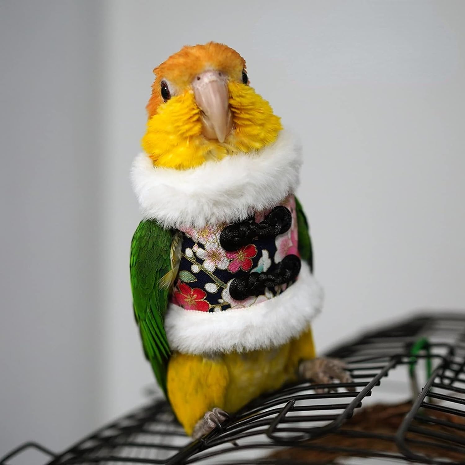 YANQIN Bird Costume Diaper Flight Suit Bee Shape Hoodie Clothes Cosplay Photo Prop for Parrots Parakeet Cockatiel Sun Conure, Small Animals Apparel (Bee with Diaper, Medium), Green (BPF1)