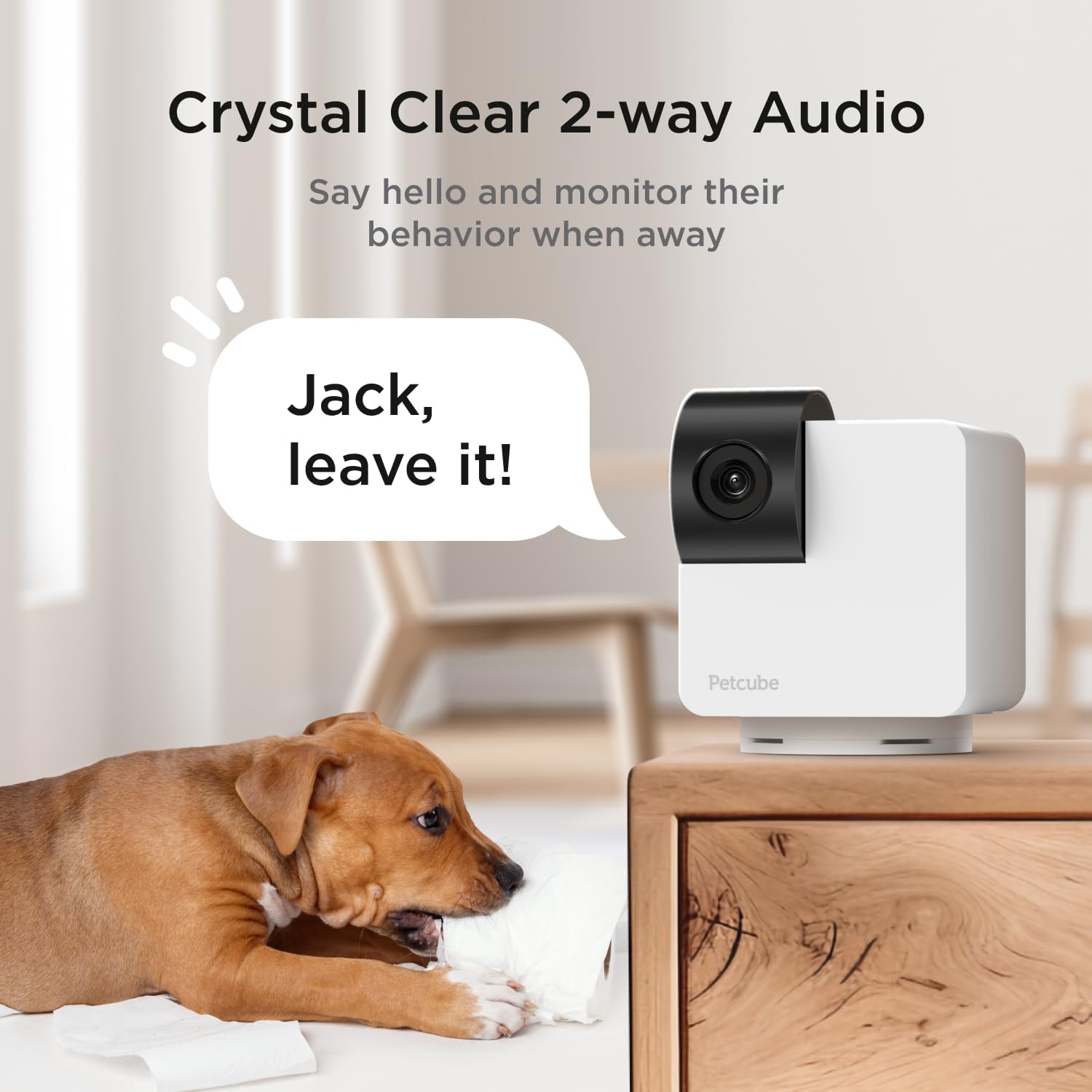 Cámara Petcube Cam 360 | Cámara panorámica e inclinable de seguridad para el hogar y mascotas WiFi interactiva definitiva con aplicación para teléfono, vídeo HD de 1080p, rotación de 360°, visión nocturna, alertas inteligentes para vigilancia del hogar 