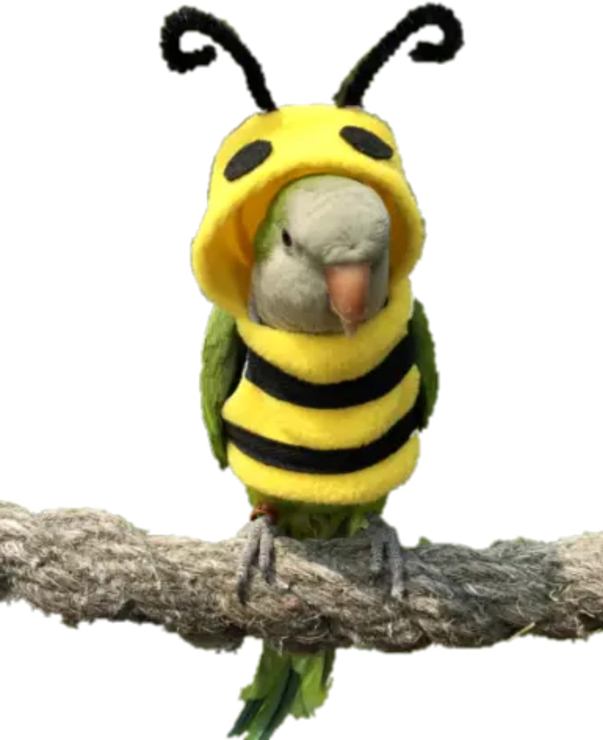 YANQIN Bird Costume Diaper Flight Suit Bee Shape Hoodie Clothes Cosplay Photo Prop for Parrots Parakeet Cockatiel Sun Conure, Small Animals Apparel (Bee with Diaper, Medium), Green (BPF1)