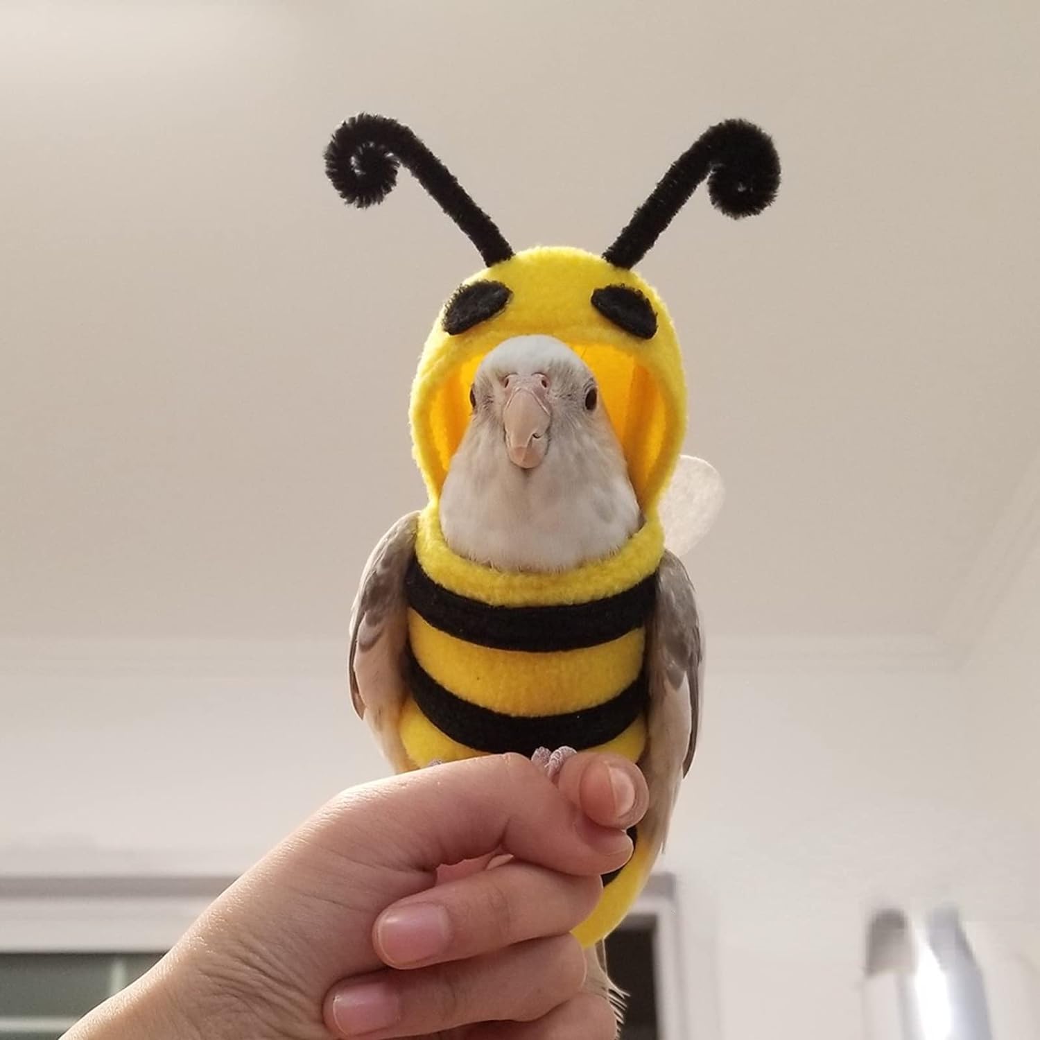 YANQIN Disfraz de pájaro, pañal, traje de vuelo, forma de abeja, sudadera con capucha, ropa para cosplay, foto para loros, periquitos, cacatúas, sol, ropa para animales pequeños (abeja con pañal, mediano), verde (BPF1) 