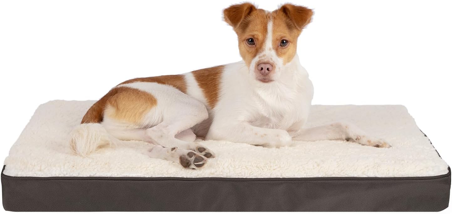 Best Pet Supplies - Cama suave para tienda de campaña para perros y gatos, pana beige, 19 x 19 x alto: 19 pulgadas 