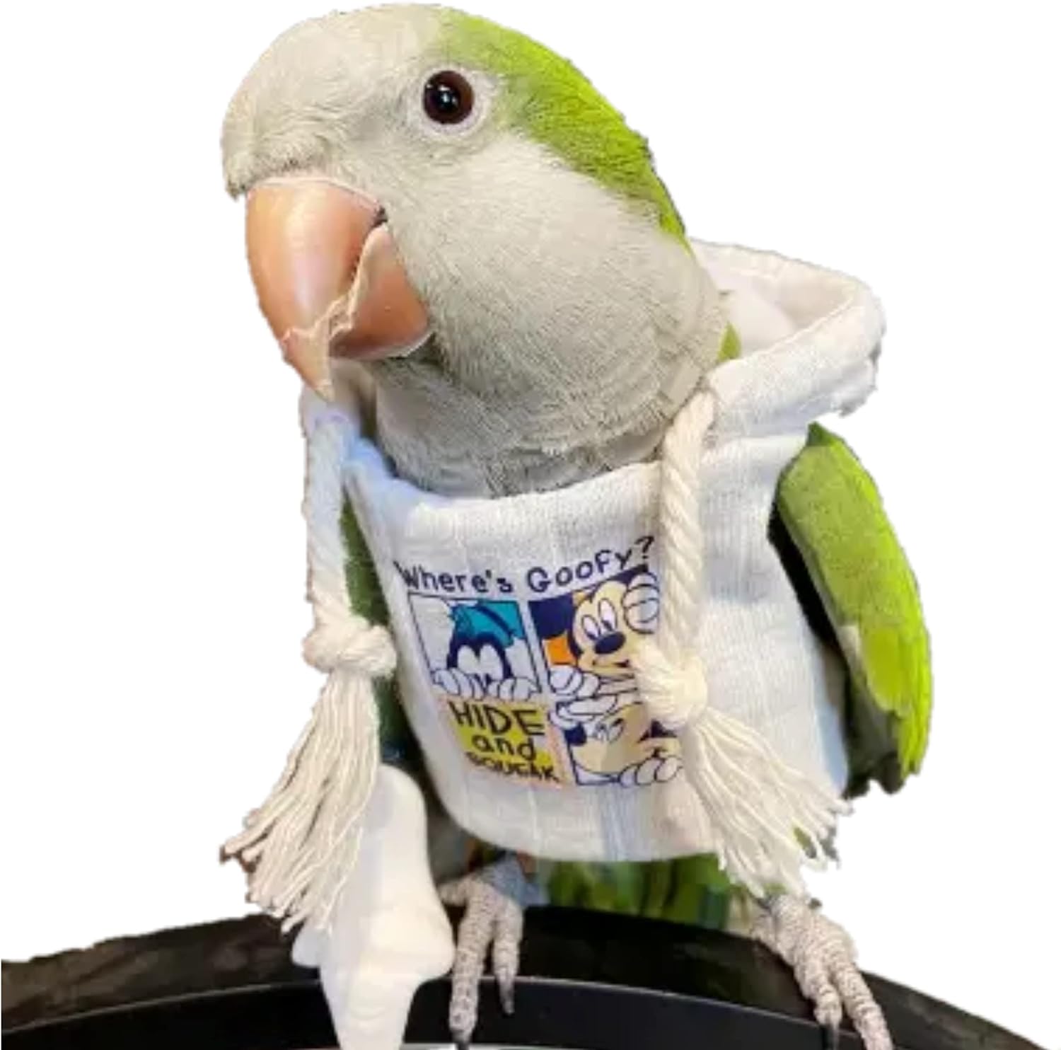 YANQIN Bird Costume Diaper Flight Suit Bee Shape Hoodie Clothes Cosplay Photo Prop for Parrots Parakeet Cockatiel Sun Conure, Small Animals Apparel (Bee with Diaper, Medium), Green (BPF1)