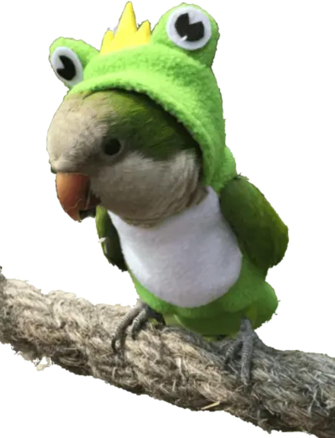 YANQIN Bird Costume Diaper Flight Suit Bee Shape Hoodie Clothes Cosplay Photo Prop for Parrots Parakeet Cockatiel Sun Conure, Small Animals Apparel (Bee with Diaper, Medium), Green (BPF1)