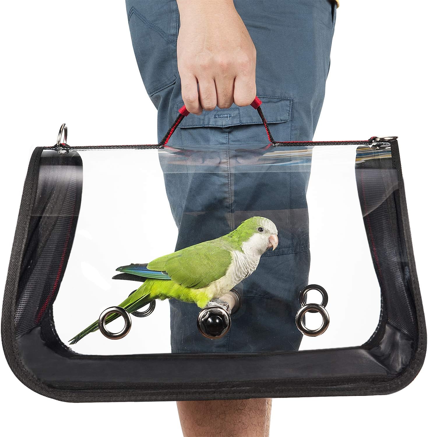 Colorday Lightweight Bird Carrier for Travelers, Bird Travel Cage with Parrot Feeder Cups & Standing Perch and Tracy (Large 19 x 12 x 13, Black)