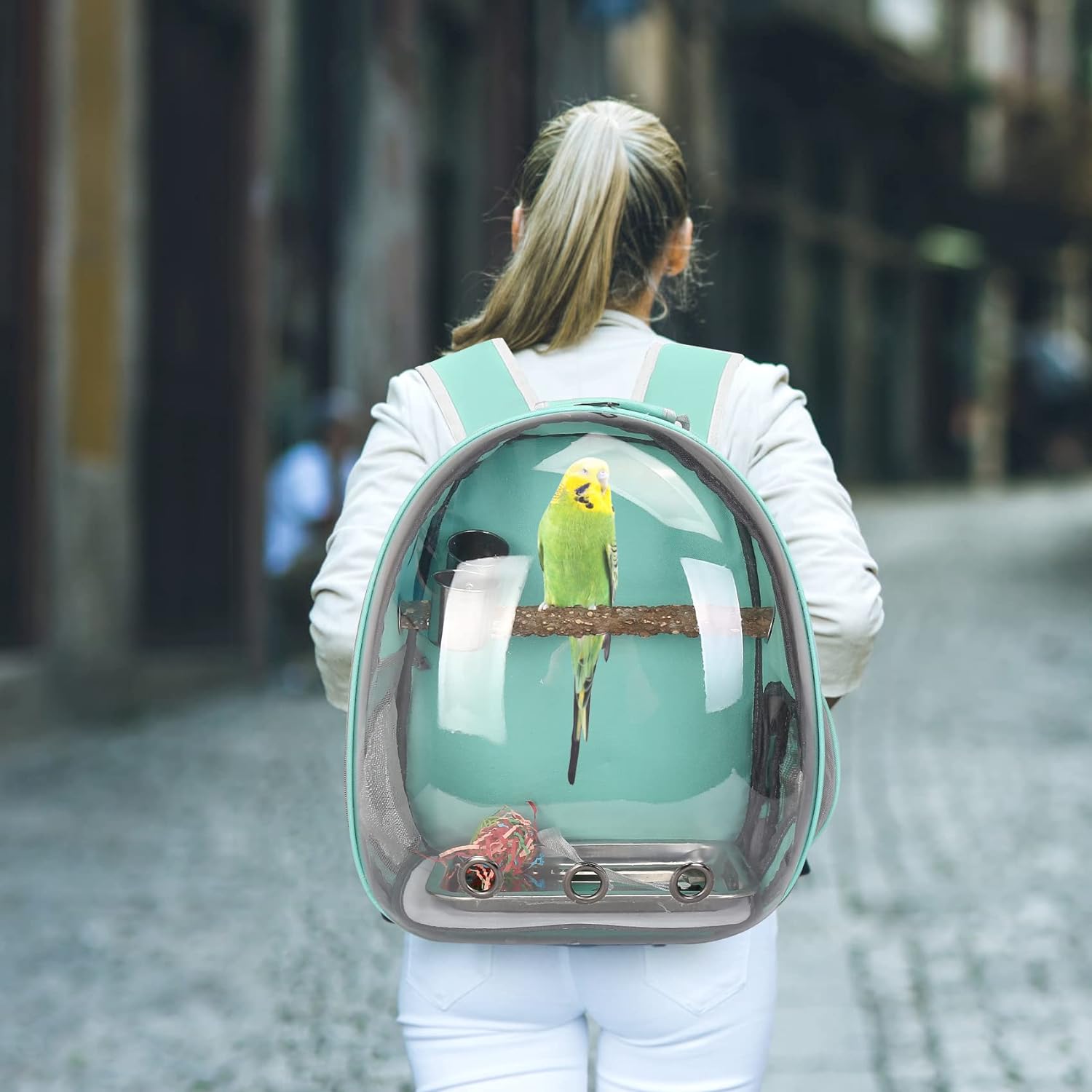 Mochila transportadora de pájaros, transportador de viaje para mascotas con percha de pie, jaula para cacatúas con juguete, tazón de comida y bandeja de acero inoxidable para periquitos, periquitos, agapornis canarios y animales pequeños 