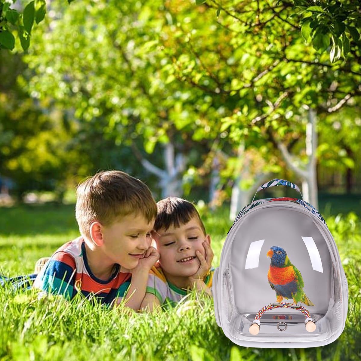 Bird Carrier Cage, Bird Travel Backpack with Stainless Steel Tray and Standing Perch