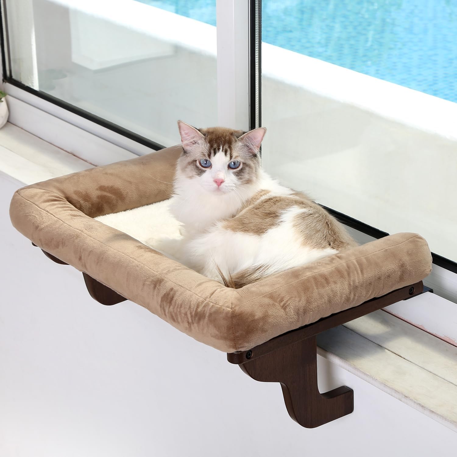 Zakkart Percha para gato para alféizar de ventana con refuerzo - Diseño de hamaca ortopédica con madera dura de primera calidad y marco de metal robusto - Asiento de ventana para gatos y gatitos grandes - Madera de color natural con cama gris 