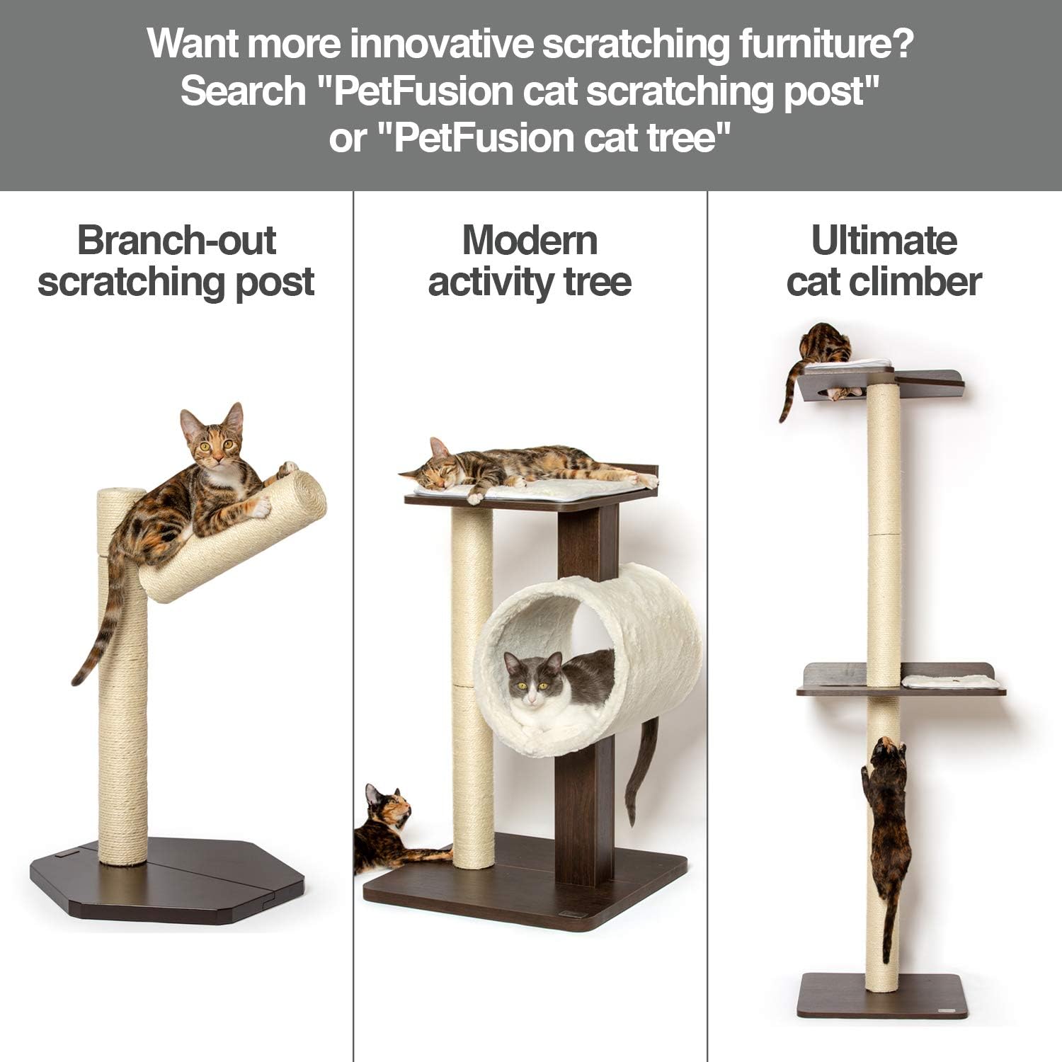 PetFusion Ultimate Cat Scratcher Lounge, wendbarer Infinity-Kratzer in mehreren Farben. Hergestellt aus recycelter Wellpappe, langlebig und langlebig. 1 Jahr Garantie 