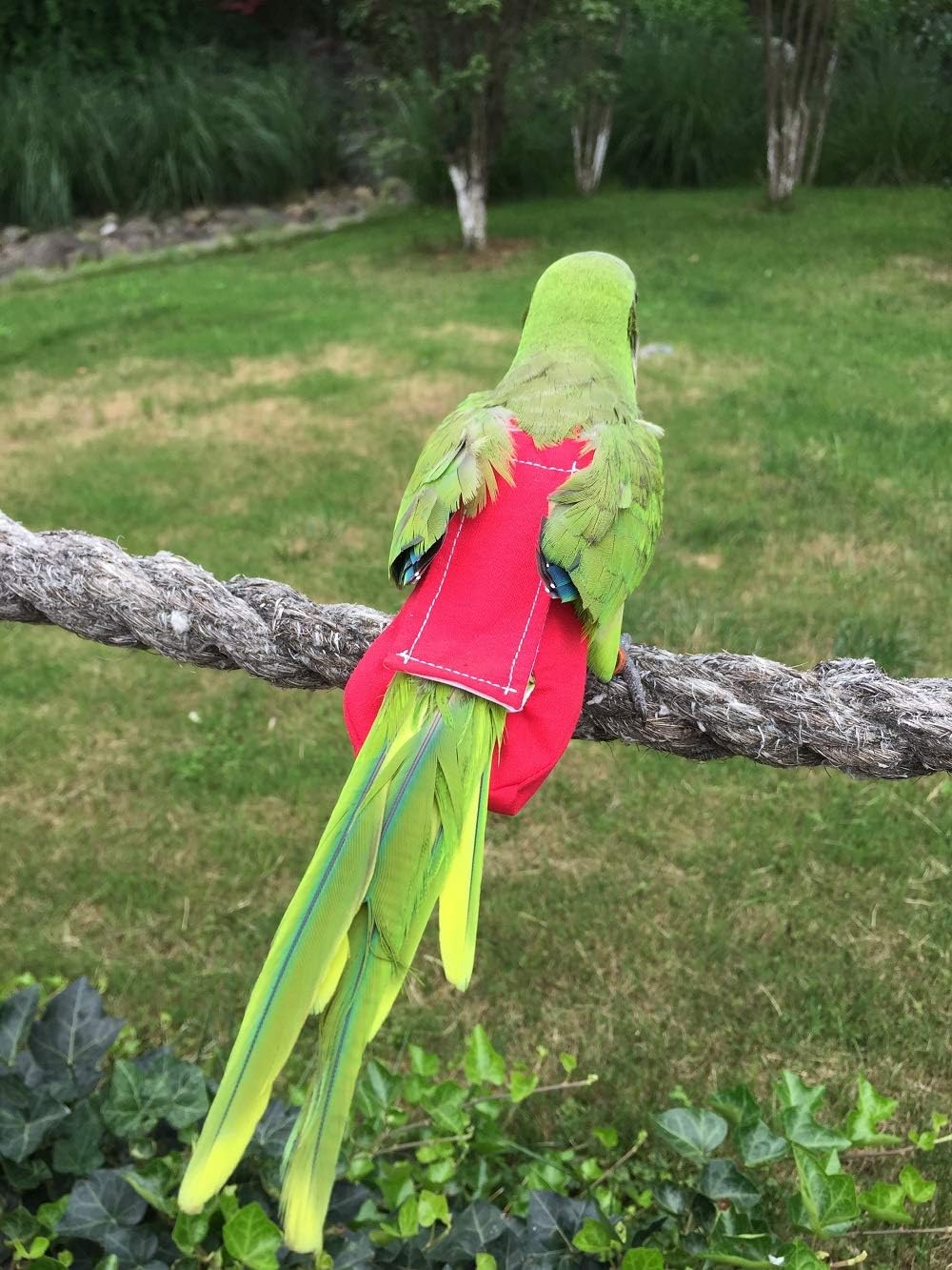 HEZHUO Pañal para loros, traje de vuelo para pájaros, ropa para pájaros, forro impermeable, suministros para pájaros para mascotas (5XL, rojo) 