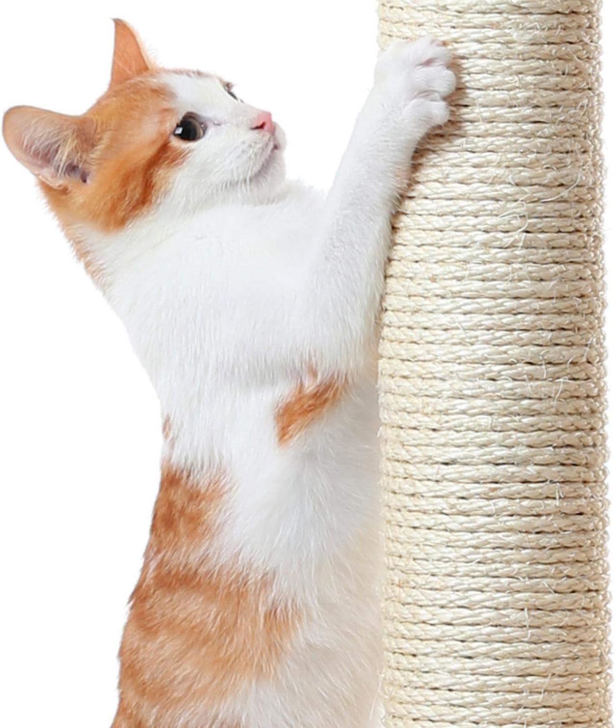 Yaheetech - Torre de árbol para gatos de 54 pulgadas, mueble de condominio, poste rascador para gatitos, casa de mascotas 