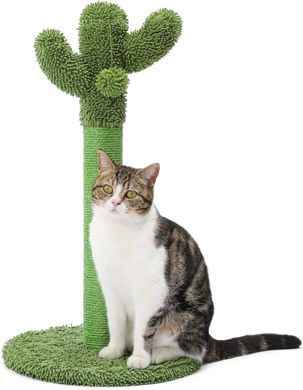 Made4Pets Cat Scratching Post, Cactus Cat Scratcher Kitten Scratch Post with Sisal Rope for Indoor Cats Claw Scratcher, Vertical Green Cat Tree with Dangling Ball for Kitties, Medium-25.6 inches