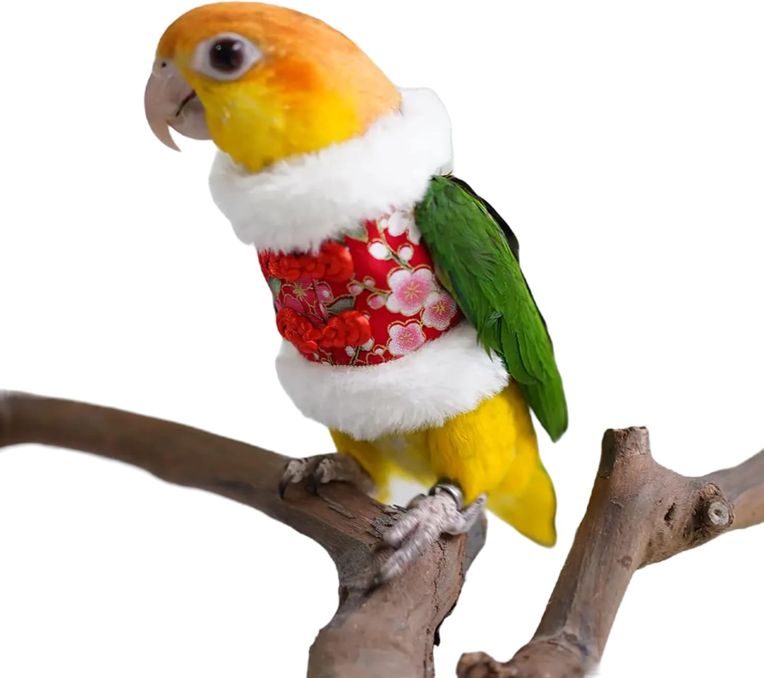 YANQIN Bird Costume Diaper Flight Suit Bee Shape Hoodie Clothes Cosplay Photo Prop for Parrots Parakeet Cockatiel Sun Conure, Small Animals Apparel (Bee with Diaper, Medium), Green (BPF1)