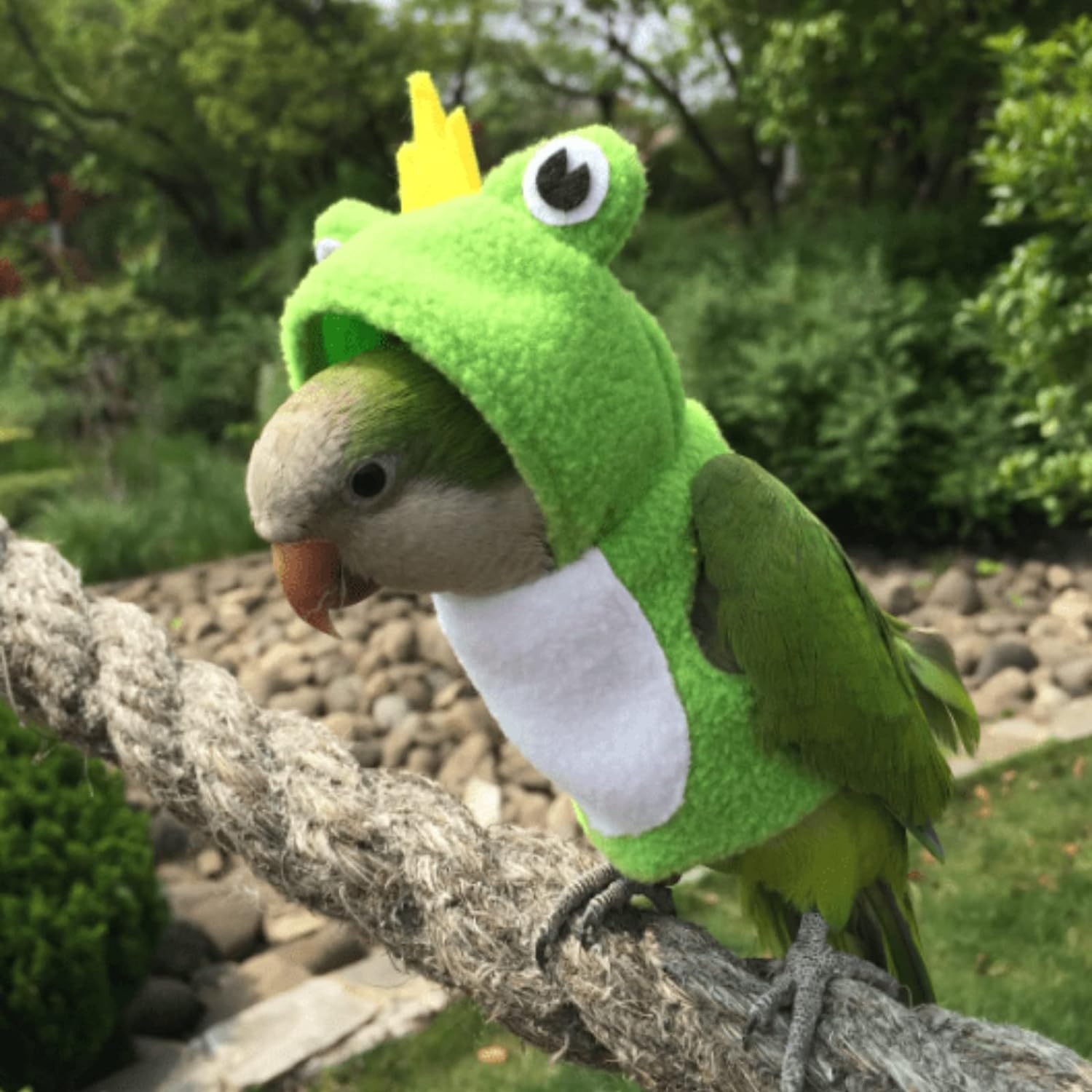 YANQIN Bird Costume Diaper Flight Suit Bee Shape Hoodie Clothes Cosplay Photo Prop for Parrots Parakeet Cockatiel Sun Conure, Small Animals Apparel (Bee with Diaper, Medium), Green (BPF1)