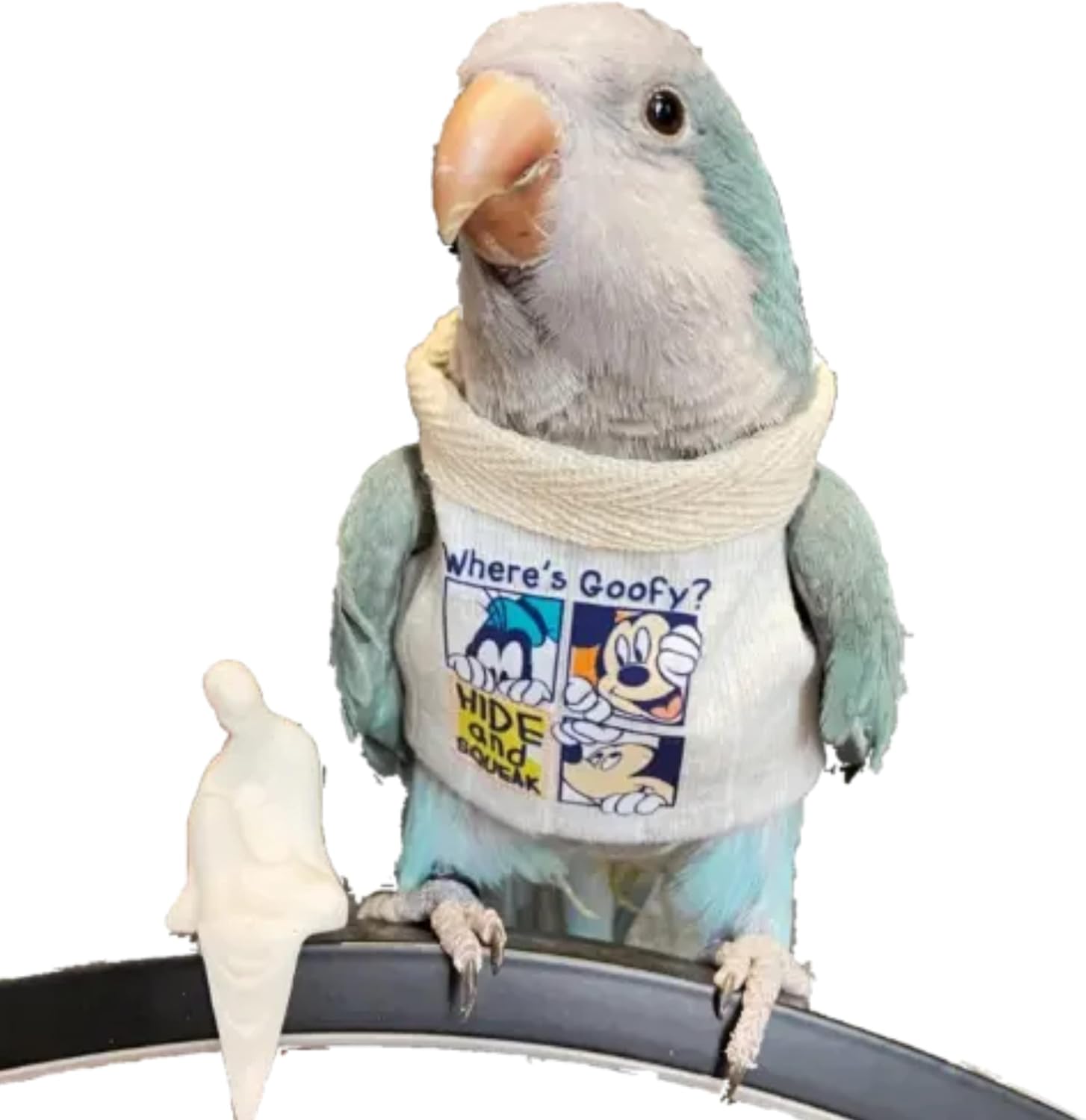 YANQIN Bird Costume Diaper Flight Suit Bee Shape Hoodie Clothes Cosplay Photo Prop for Parrots Parakeet Cockatiel Sun Conure, Small Animals Apparel (Bee with Diaper, Medium), Green (BPF1)