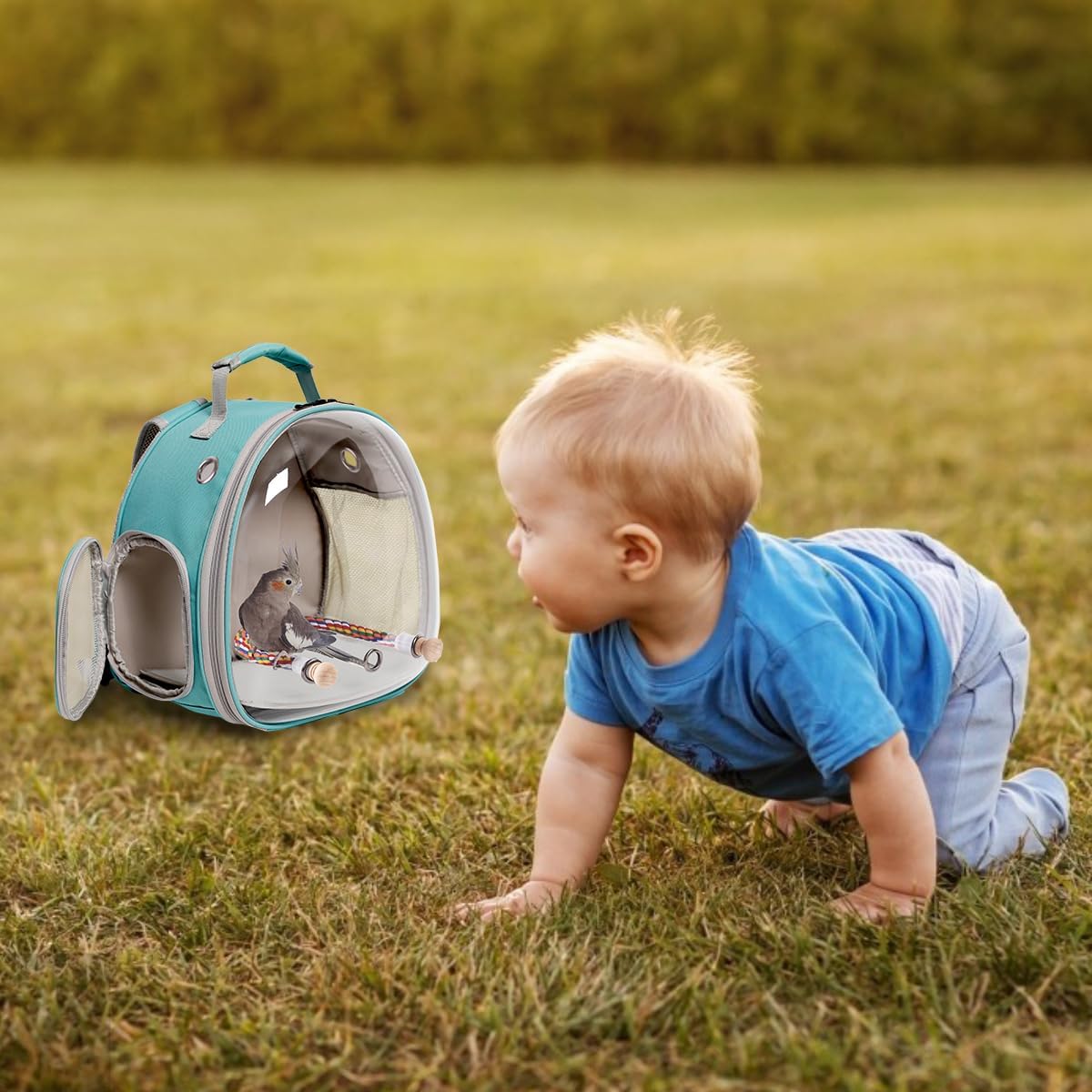 Bird Carrier Cage, Bird Travel Backpack with Stainless Steel Tray and Standing Perch