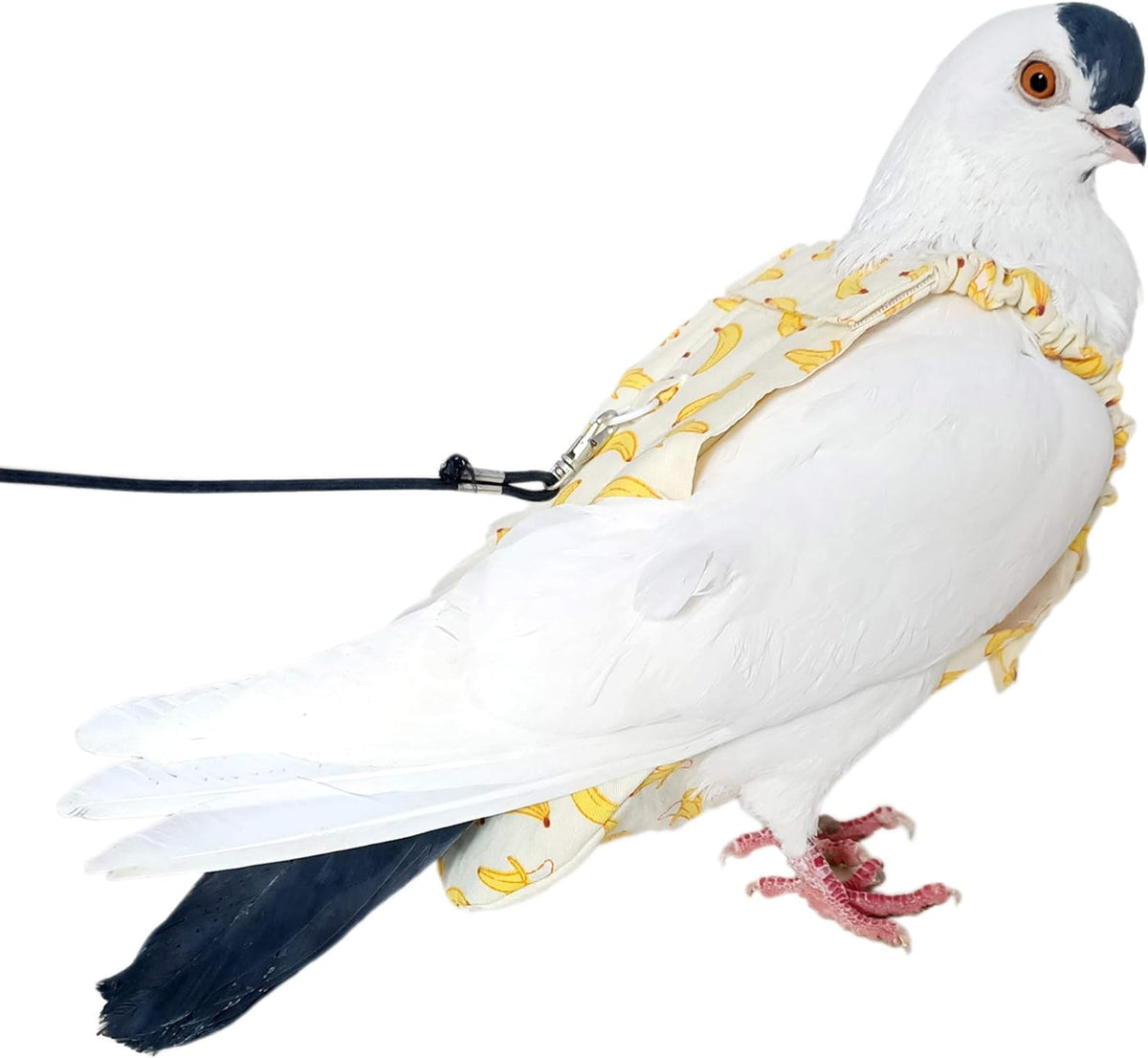 YUYUSO Pigeon Dove Diaper Pants with Leash for Pigeon Dove