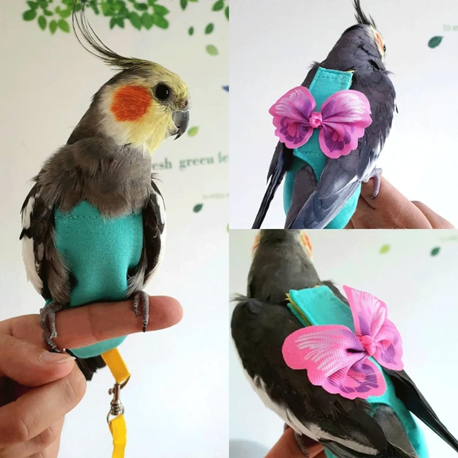 ALI2 Bird Diapers Harness and Leash Parrot Flight Clothes Suit Bird Clothes Washable Parakeet Recovery Diapers for Small Medium Birds Parakeets Parrot Cockatiel Conure L