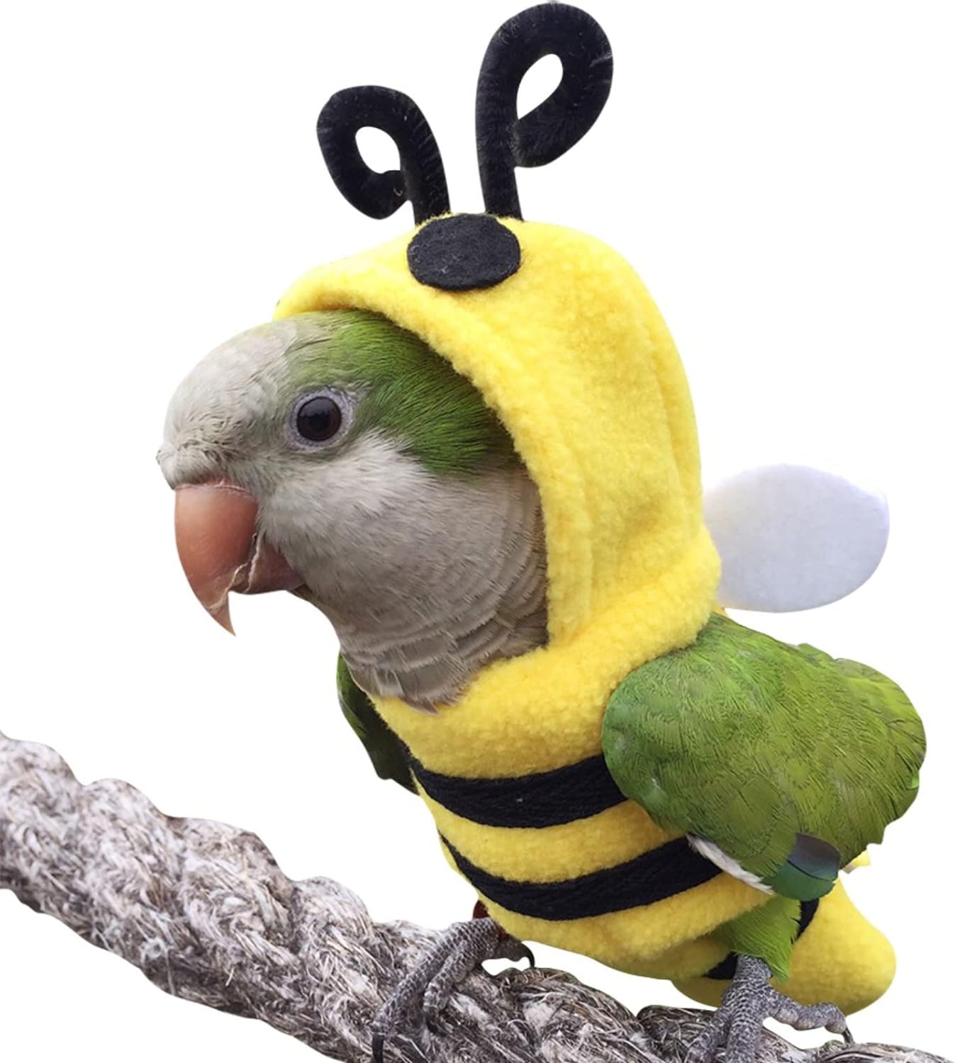 YANQIN Bird Costume Diaper Flight Suit Bee Shape Hoodie Clothes Cosplay Photo Prop for Parrots Parakeet Cockatiel Sun Conure, Small Animals Apparel (Bee with Diaper, Medium), Green (BPF1)