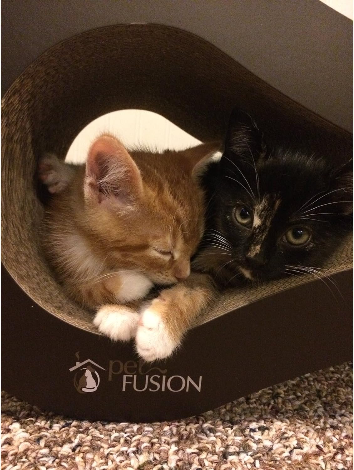 PetFusion Ultimate Cat Scratcher Lounge, wendbarer Infinity-Kratzer in mehreren Farben. Hergestellt aus recycelter Wellpappe, langlebig und langlebig. 1 Jahr Garantie 