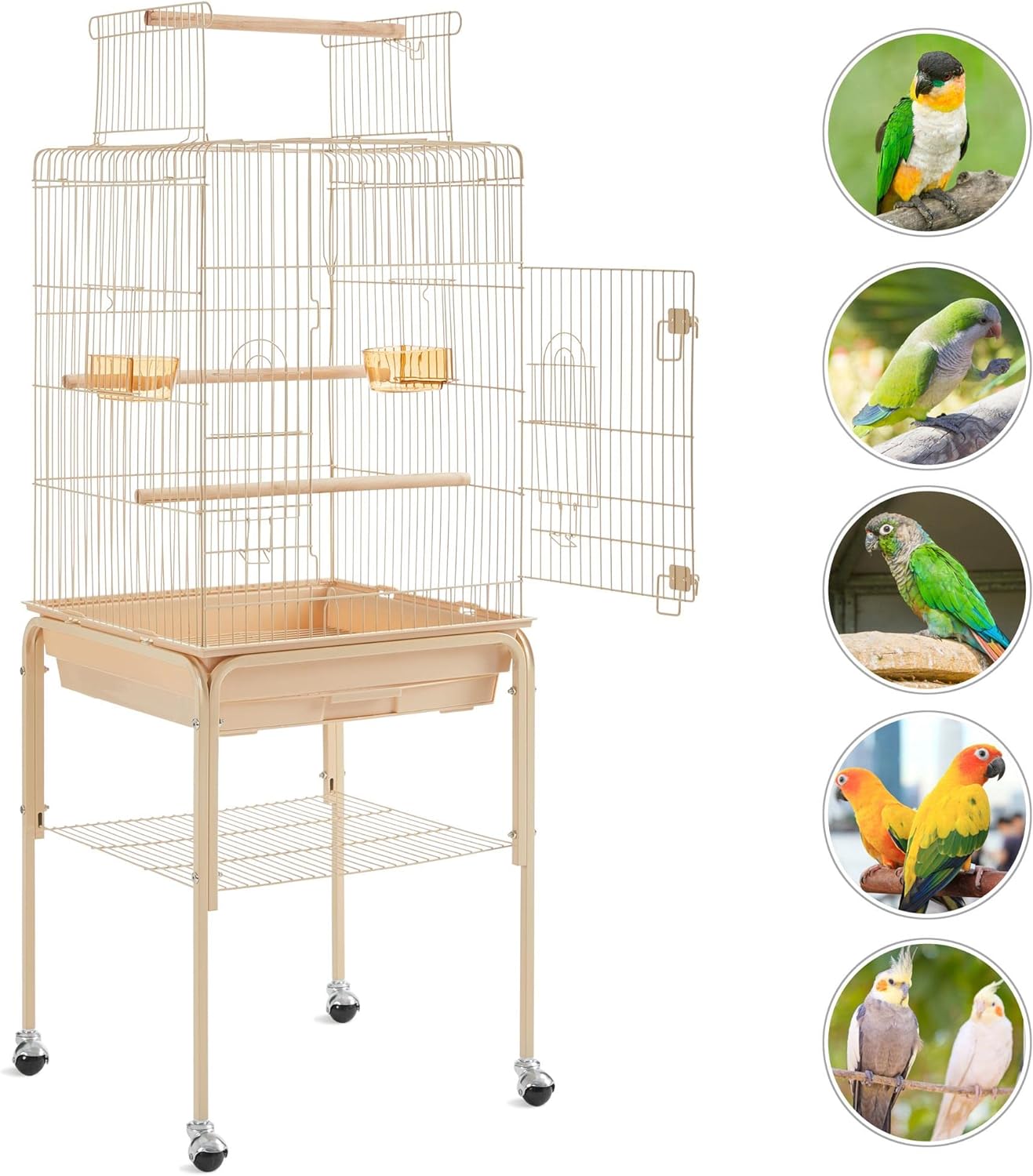 Yaheetech Open Top Rolling Parrot Bird Cage for Cockatiel Sun Parakeet Green Cheek Conure Mid-Sized Parrot Cage with Detachable Stand