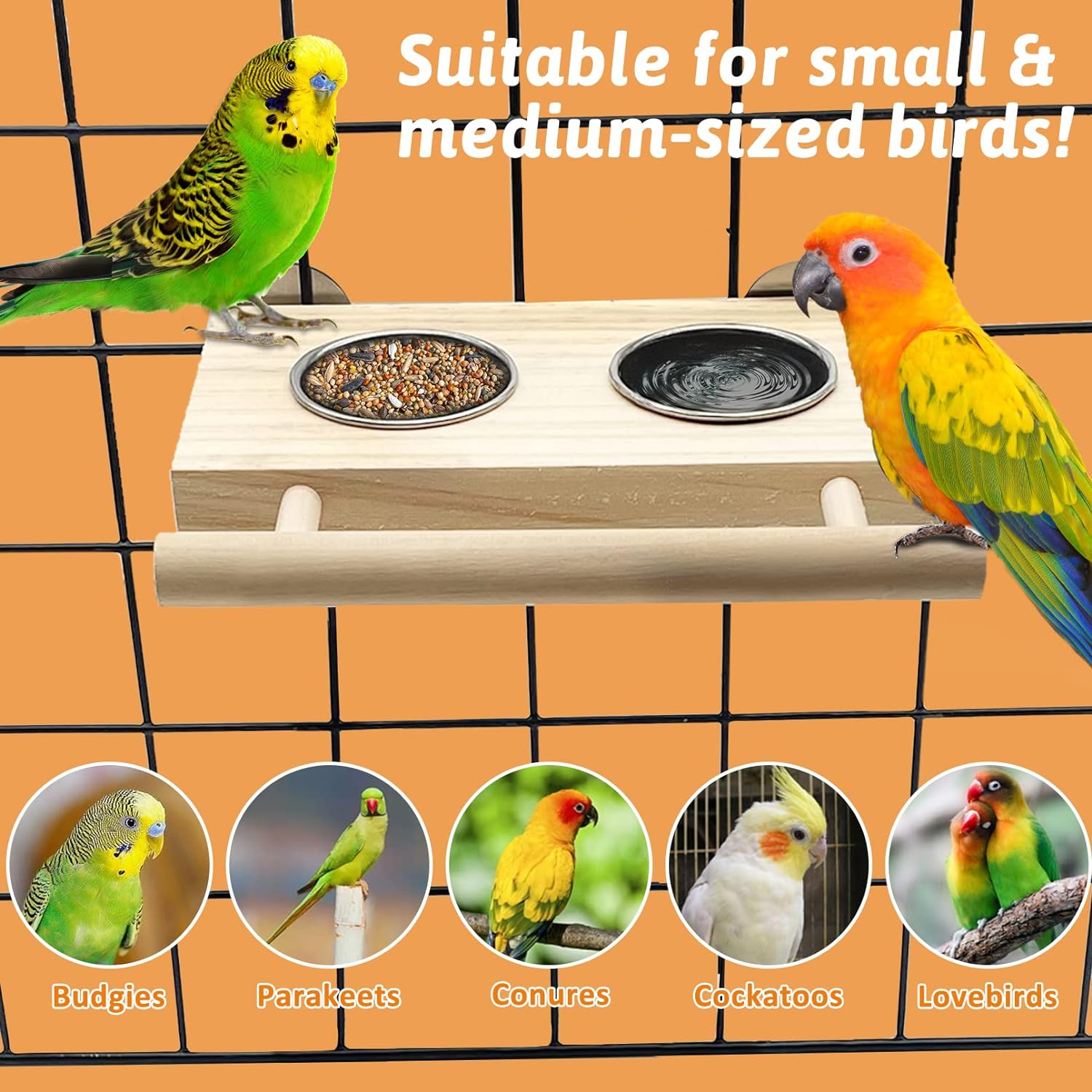 Tfwadmx Comida para pájaros Tazas de acero inoxidable Soporte de perca de madera Comedero colgante Cuencos Suministros de alimentación y riego para periquitos Conures Cockatiels Budgie Parrot 