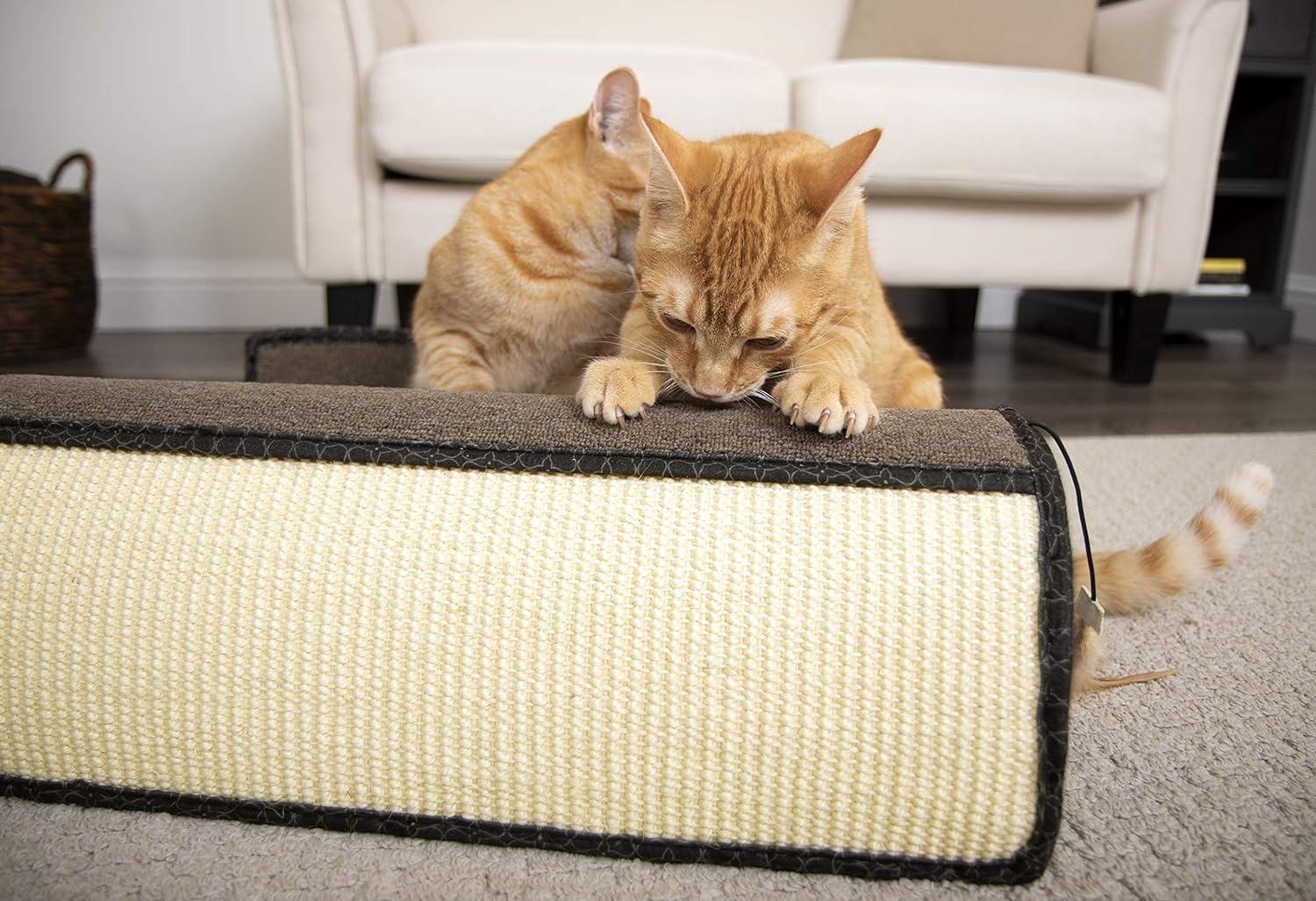 SmartyKat Rampa rascadora para gatos con ángulo de sisal, incluye hierba gatera, natural, talla única 