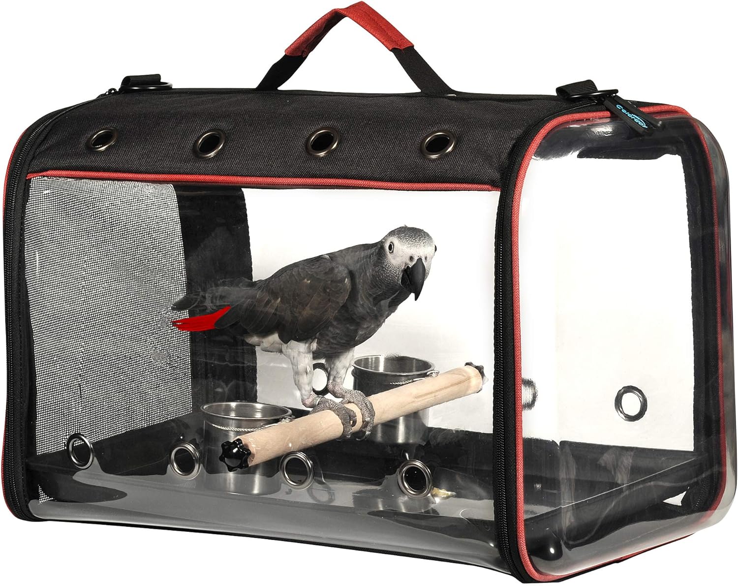 Colorday Lightweight Bird Carrier for Travelers, Bird Travel Cage with Parrot Feeder Cups & Standing Perch and Tracy (Large 19 x 12 x 13, Black)