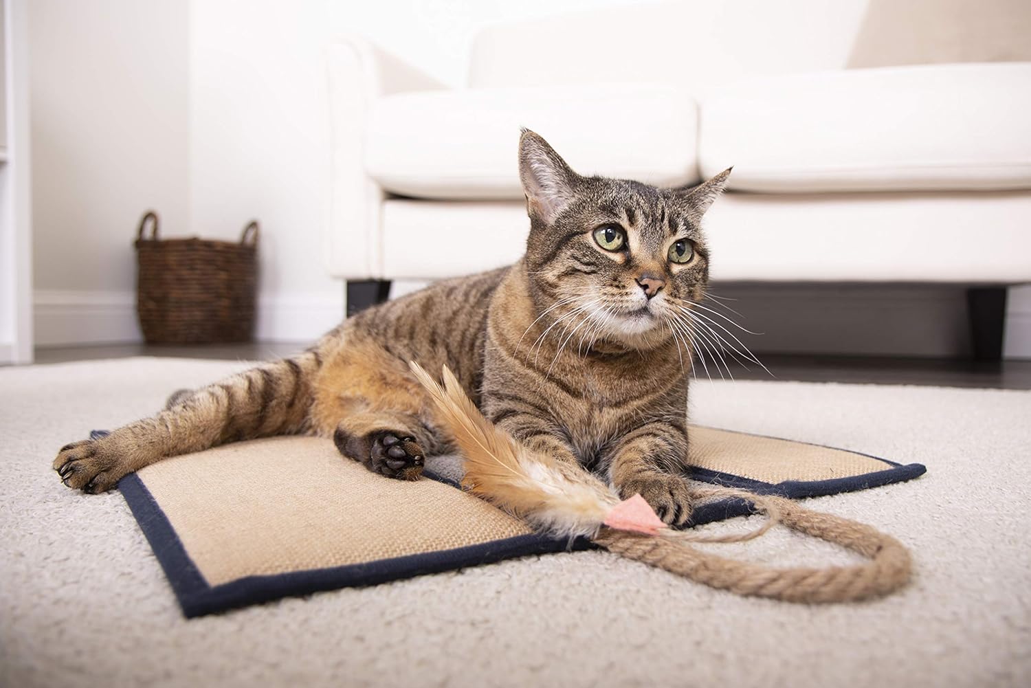 SmartyKat Rampa rascadora para gatos con ángulo de sisal, incluye hierba gatera, natural, talla única 