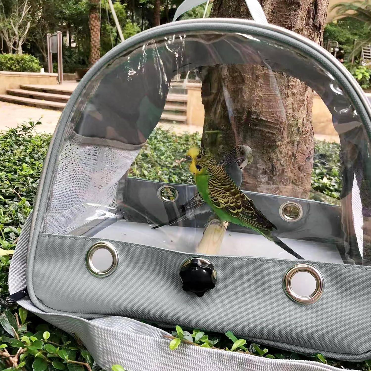 Bird Travel Carrier with Standing Perch,Lightweight Breathable Parrot Cage, Small Pet Carrier Bag with Shoulder Strap,Bird Rat Guinea Pig Squirrel Carrier (Green)