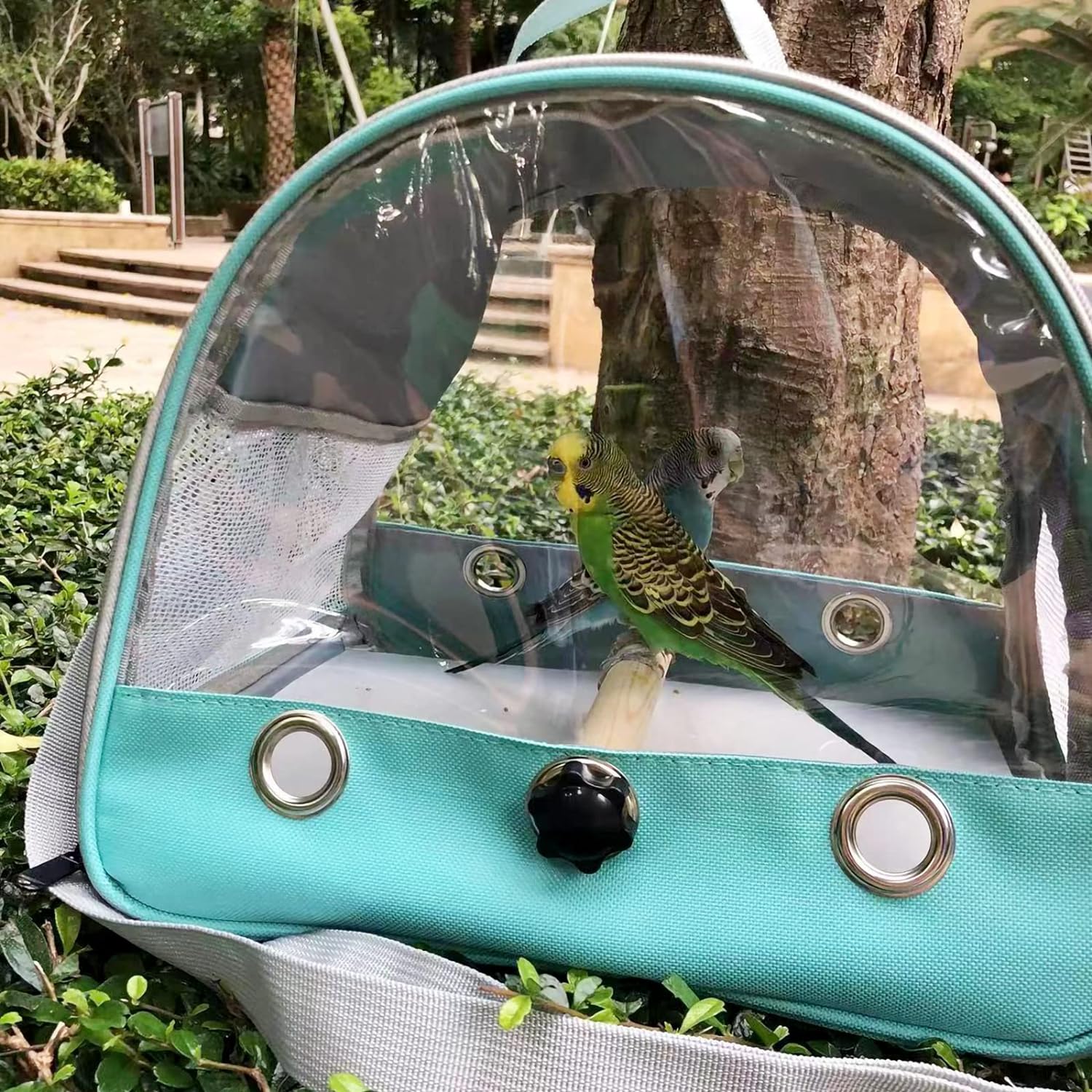 Transportín de viaje para pájaros con percha de pie, jaula ligera y transpirable para loros, bolsa pequeña para mascotas con correa para el hombro, transportador para ardillas, cobayas y ratas (verde) 