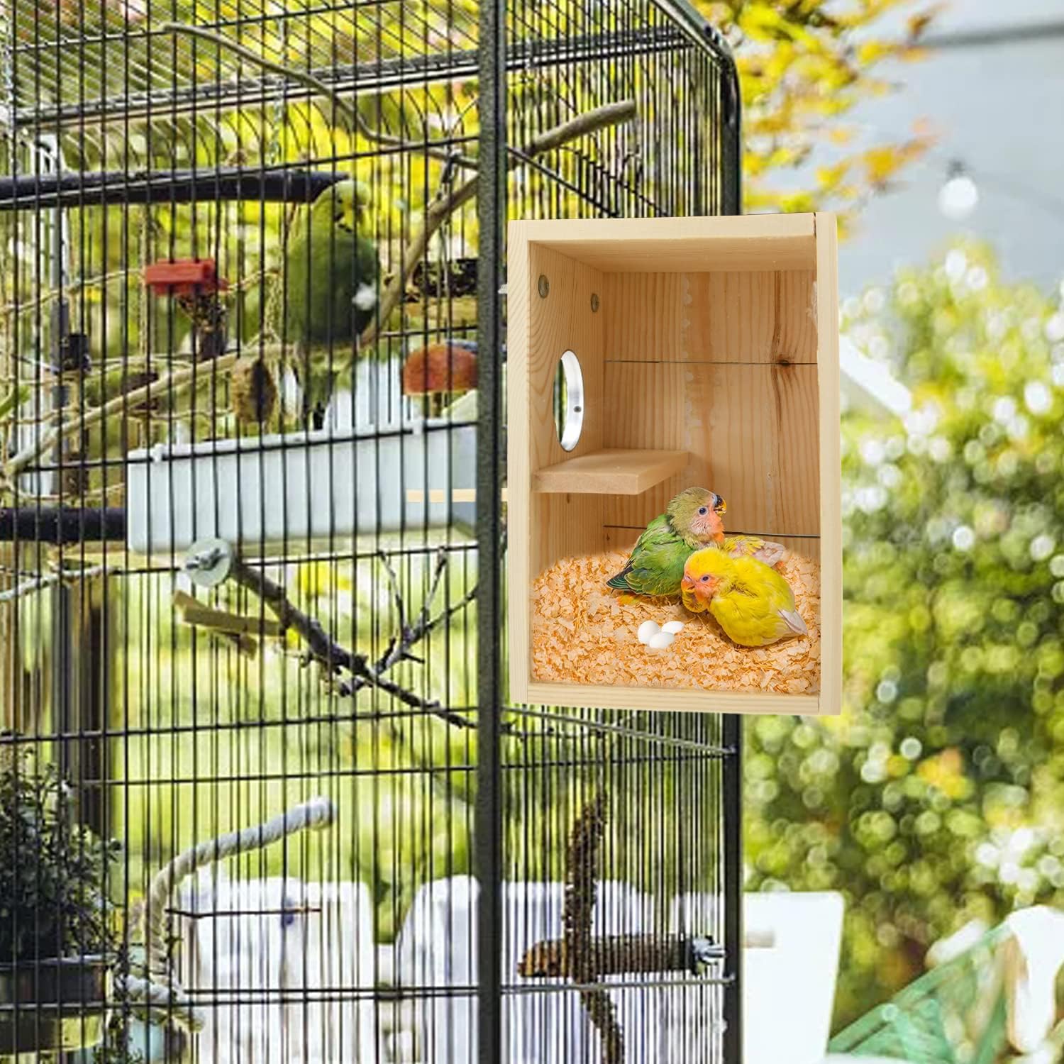 CooShou Bird Nest Box Parakeet Breeding Nest Box Bird Nest House Wooden Acrylic Transparent Breeding Box for Finch Lovebirds Cockatiel Budgie Conure Parrot